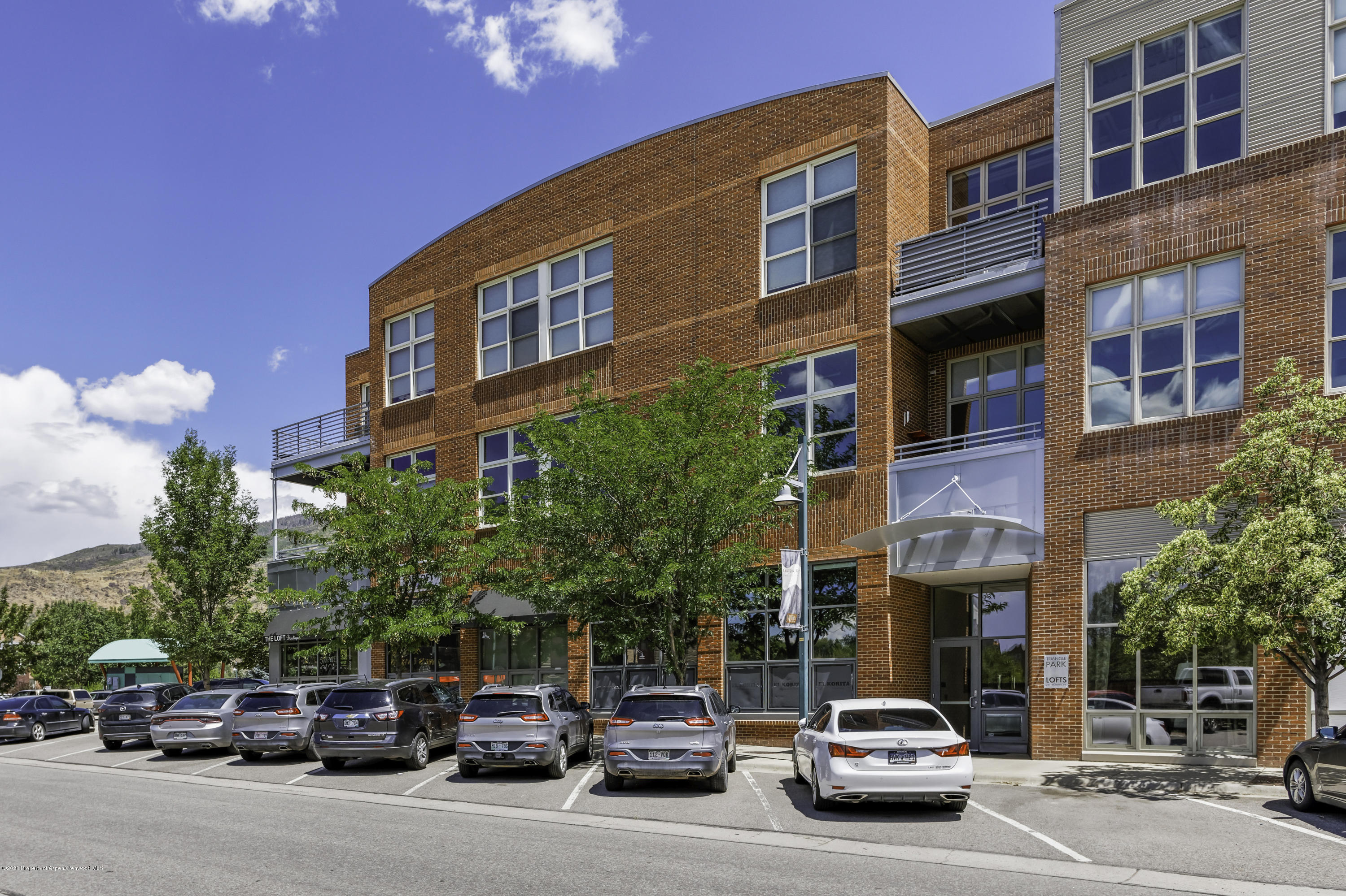 231 Robinson Street Basalt CO 81621