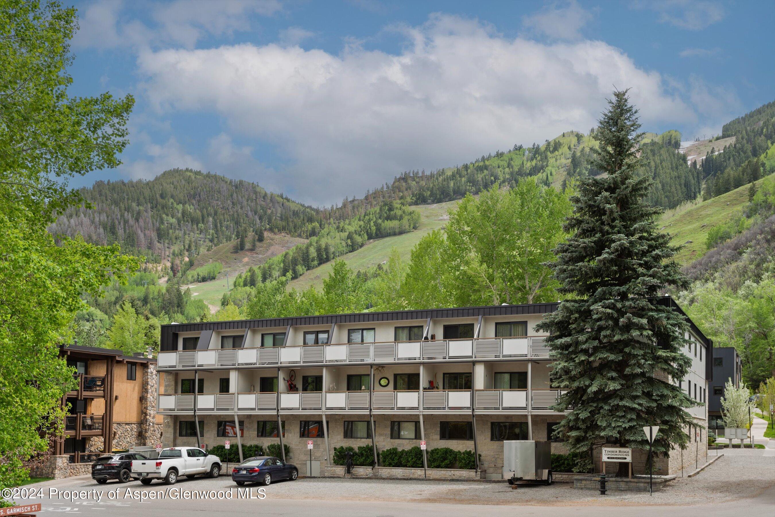 100 E Dean Street Aspen CO 81611