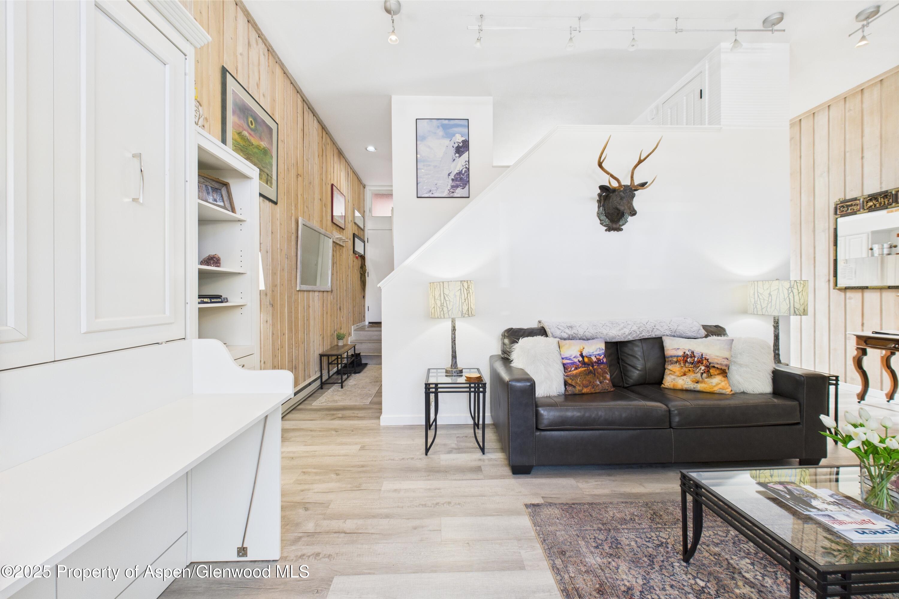 311 S Aspen Street Aspen CO 81611