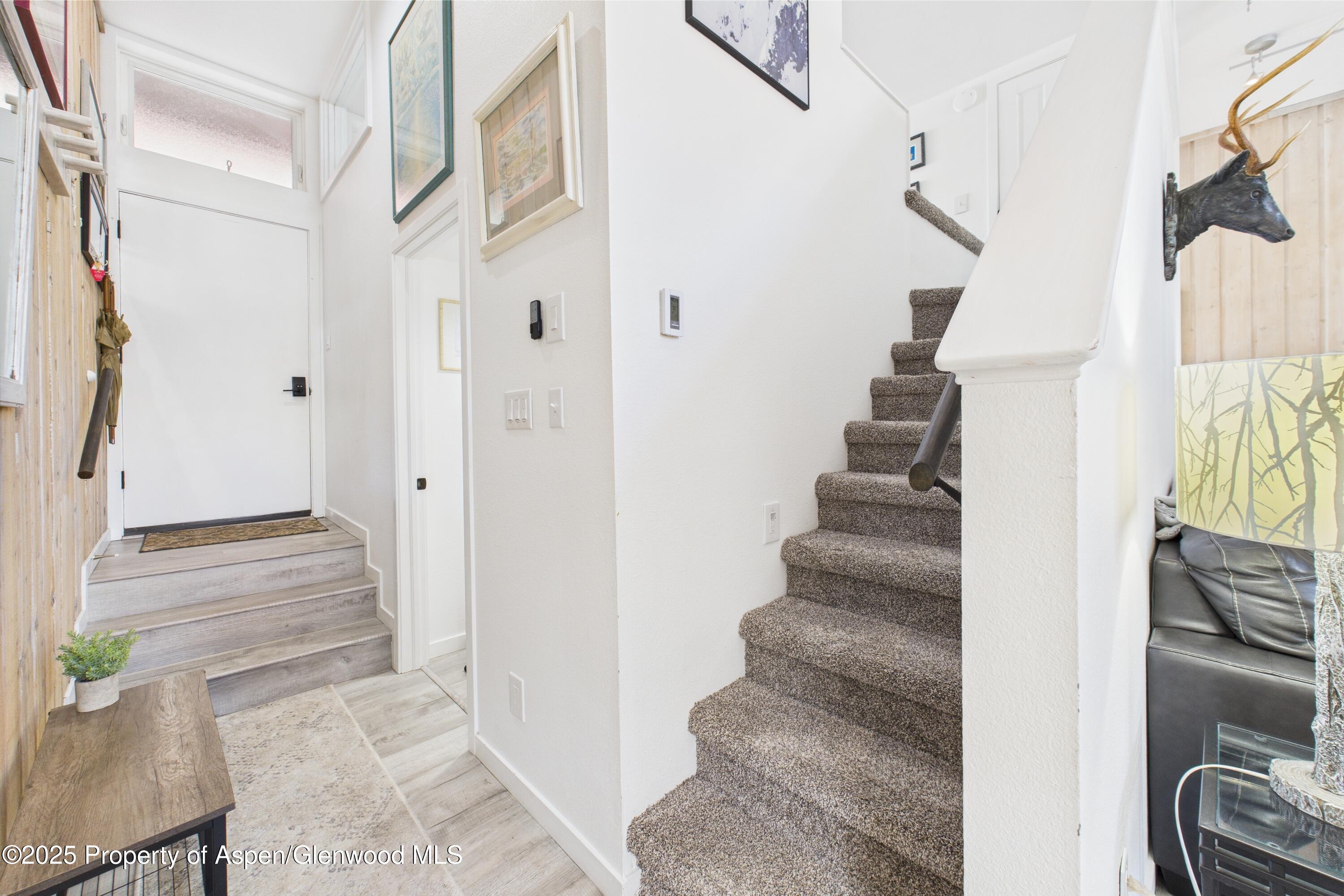 311 S Aspen Street Aspen CO 81611