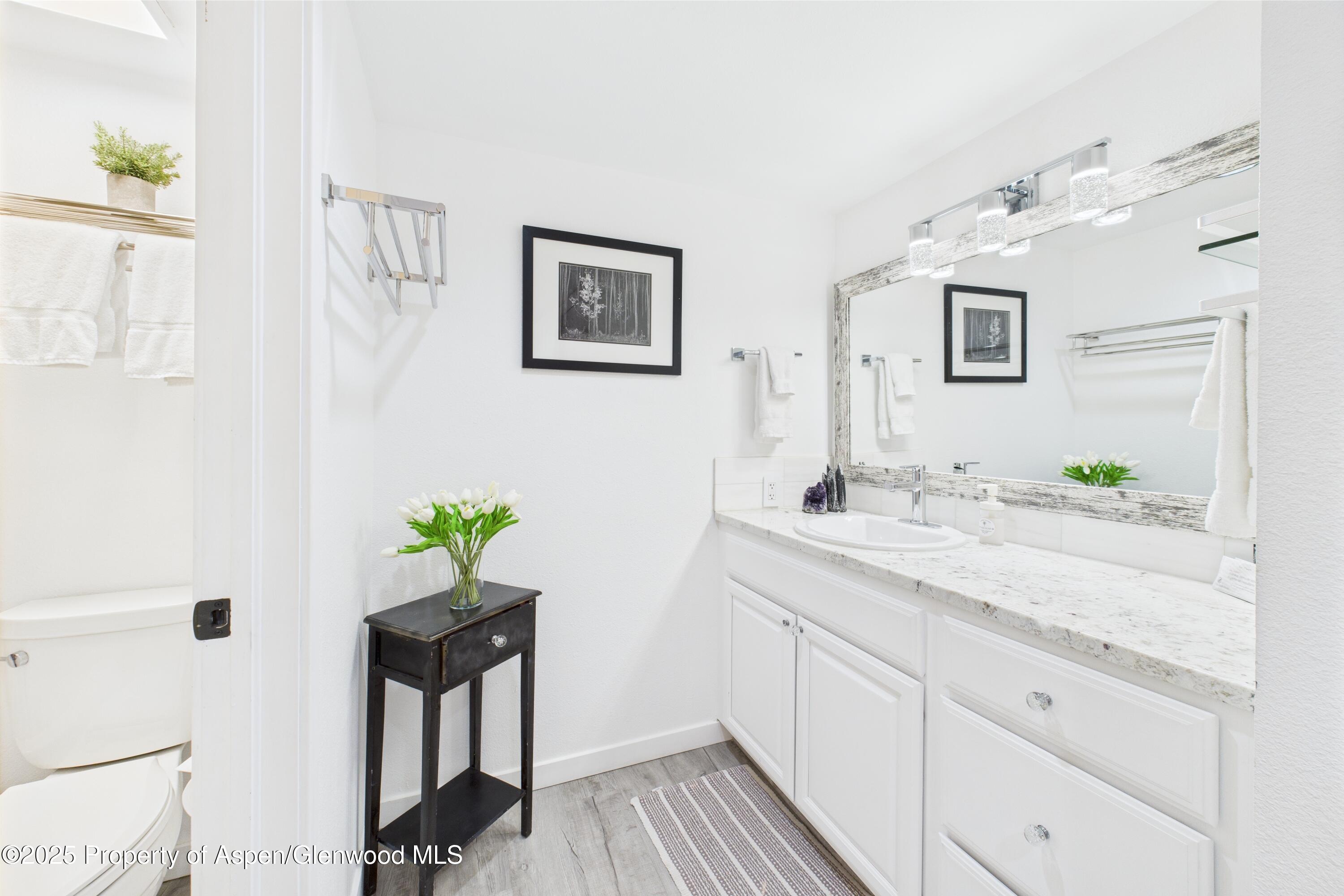 311 S Aspen Street Aspen CO 81611