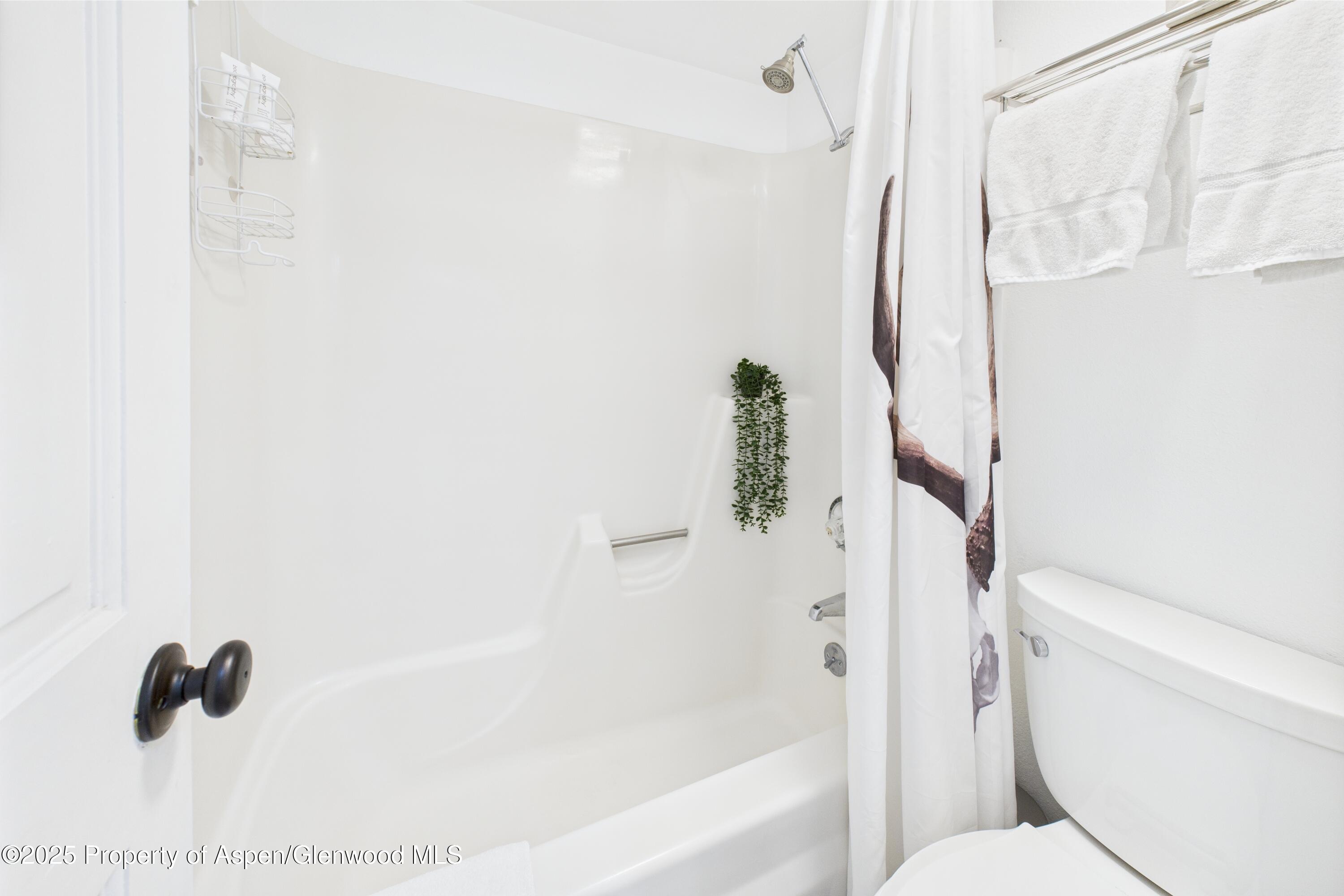 311 S Aspen Street Aspen CO 81611