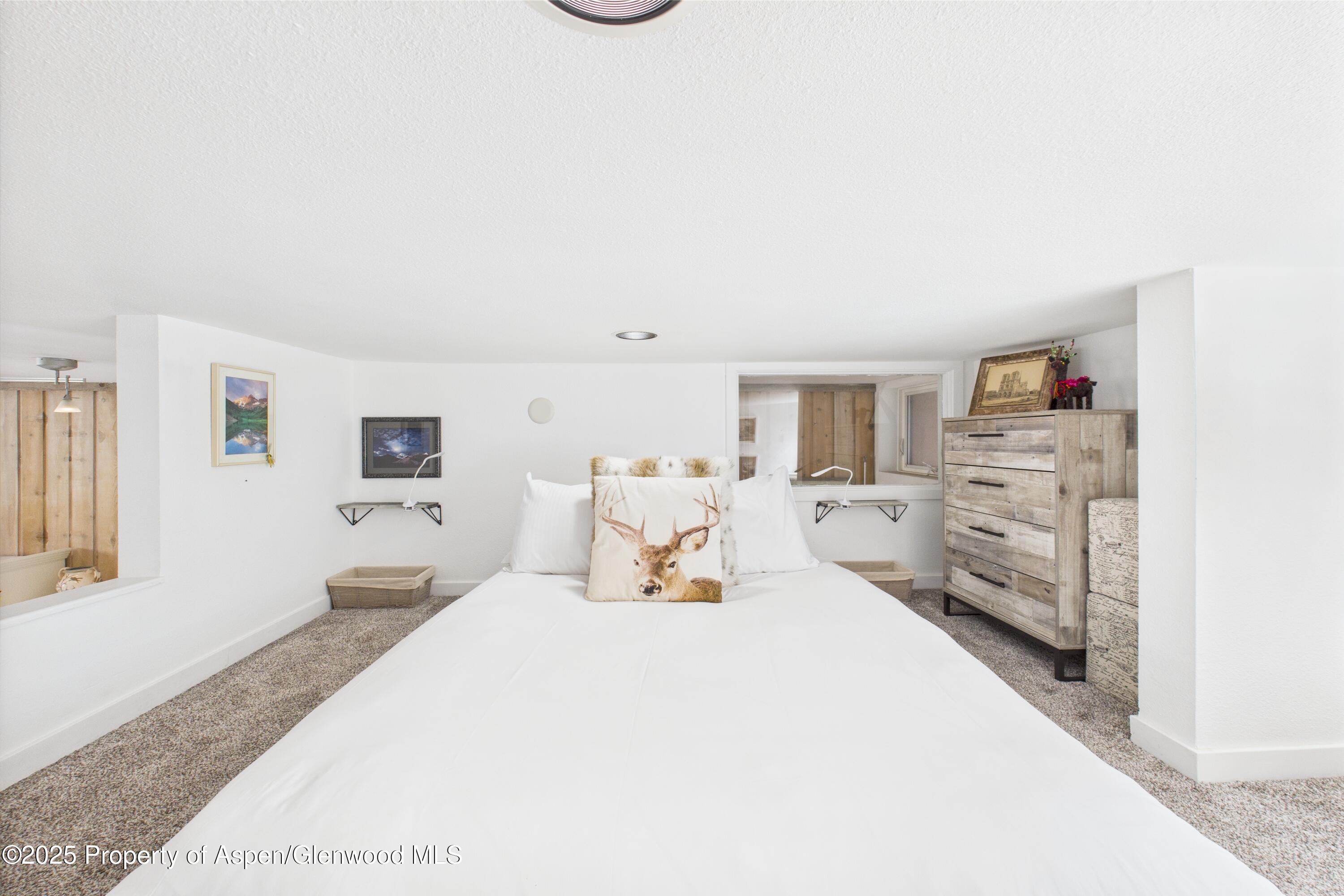 311 S Aspen Street Aspen CO 81611