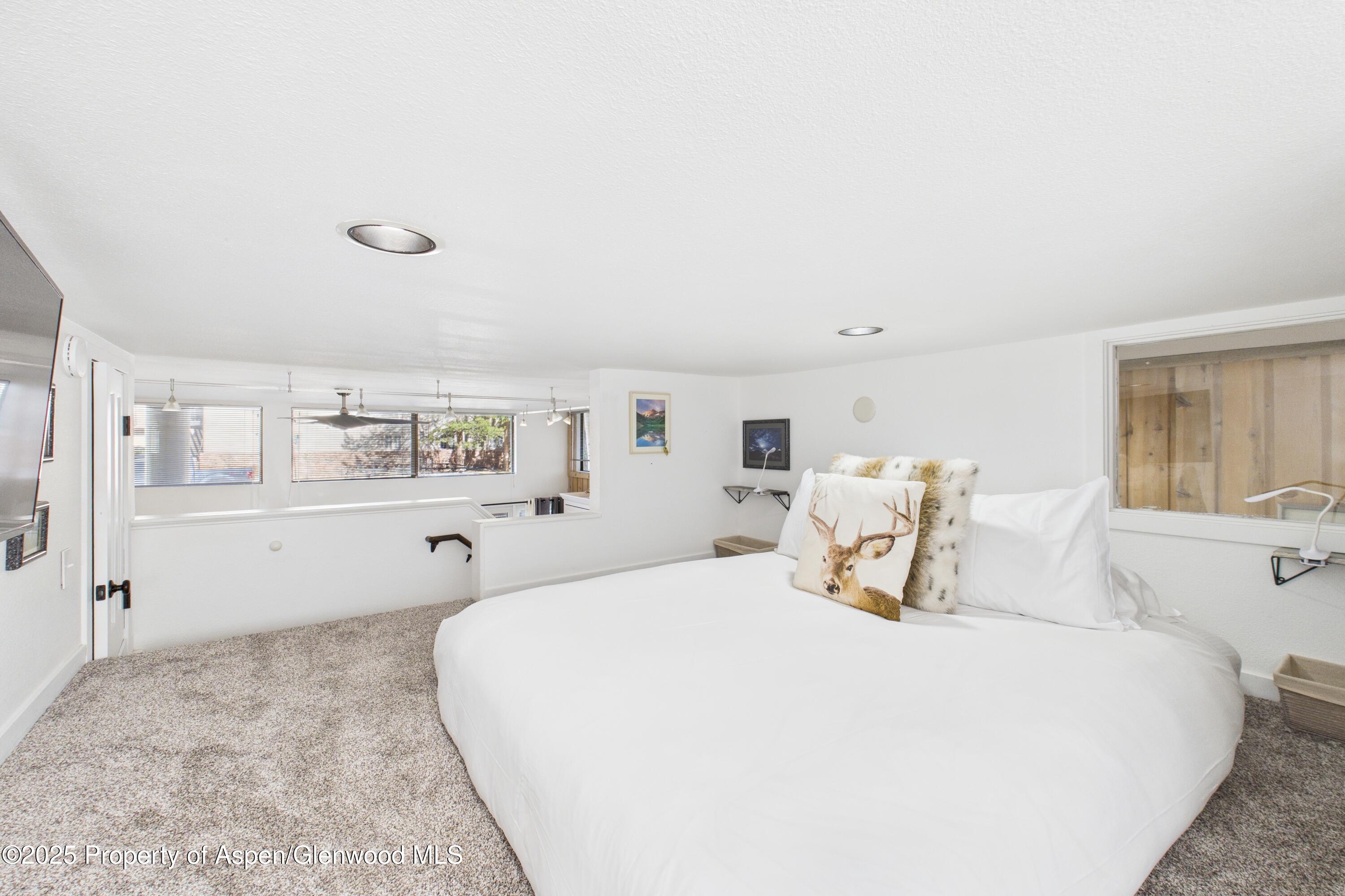 311 S Aspen Street Aspen CO 81611