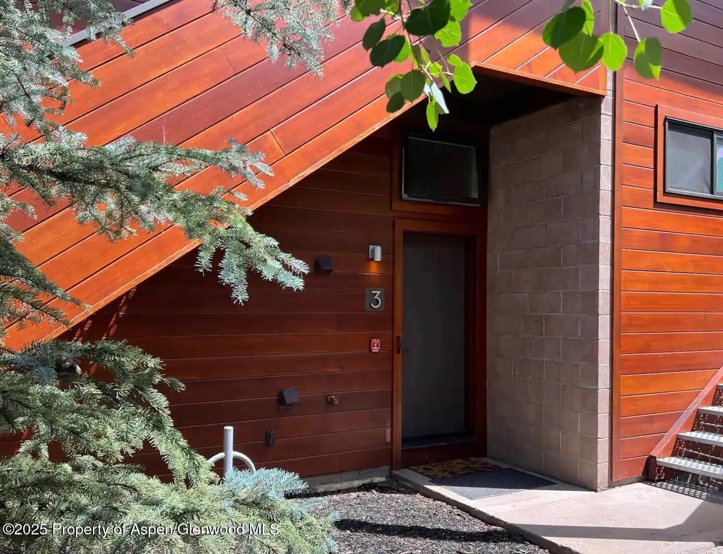 311 S Aspen Street Aspen CO 81611