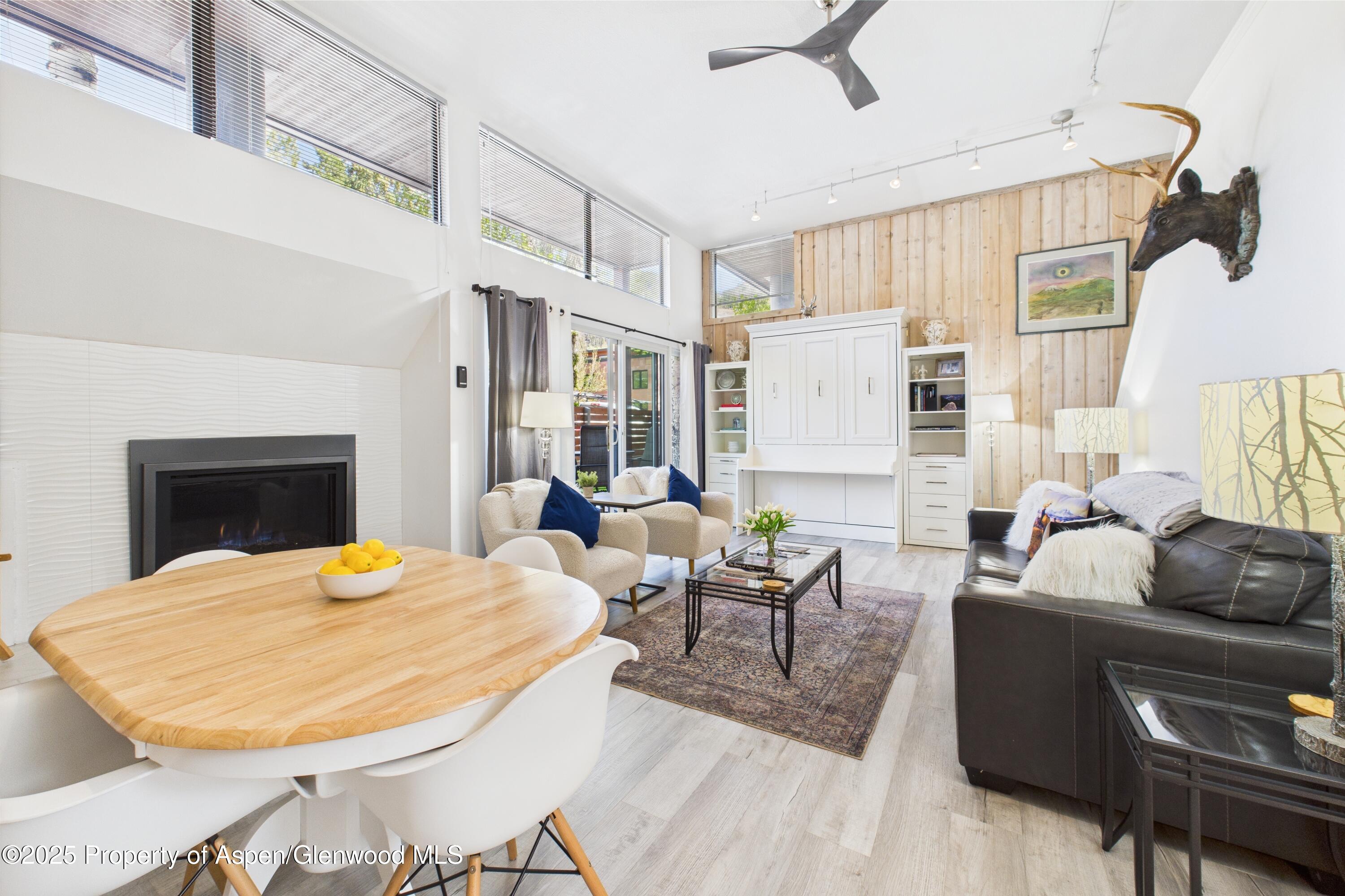 311 S Aspen Street Aspen CO 81611