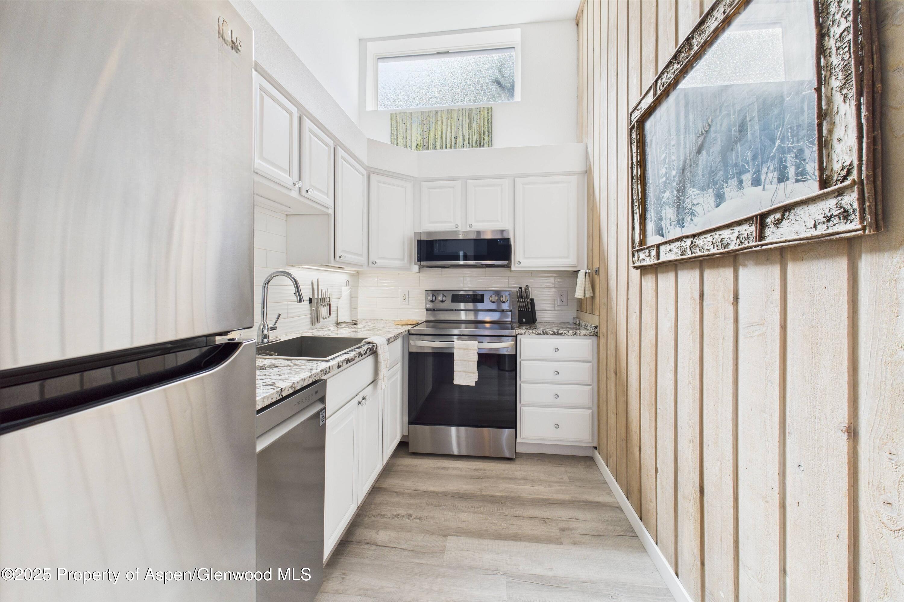 311 S Aspen Street Aspen CO 81611