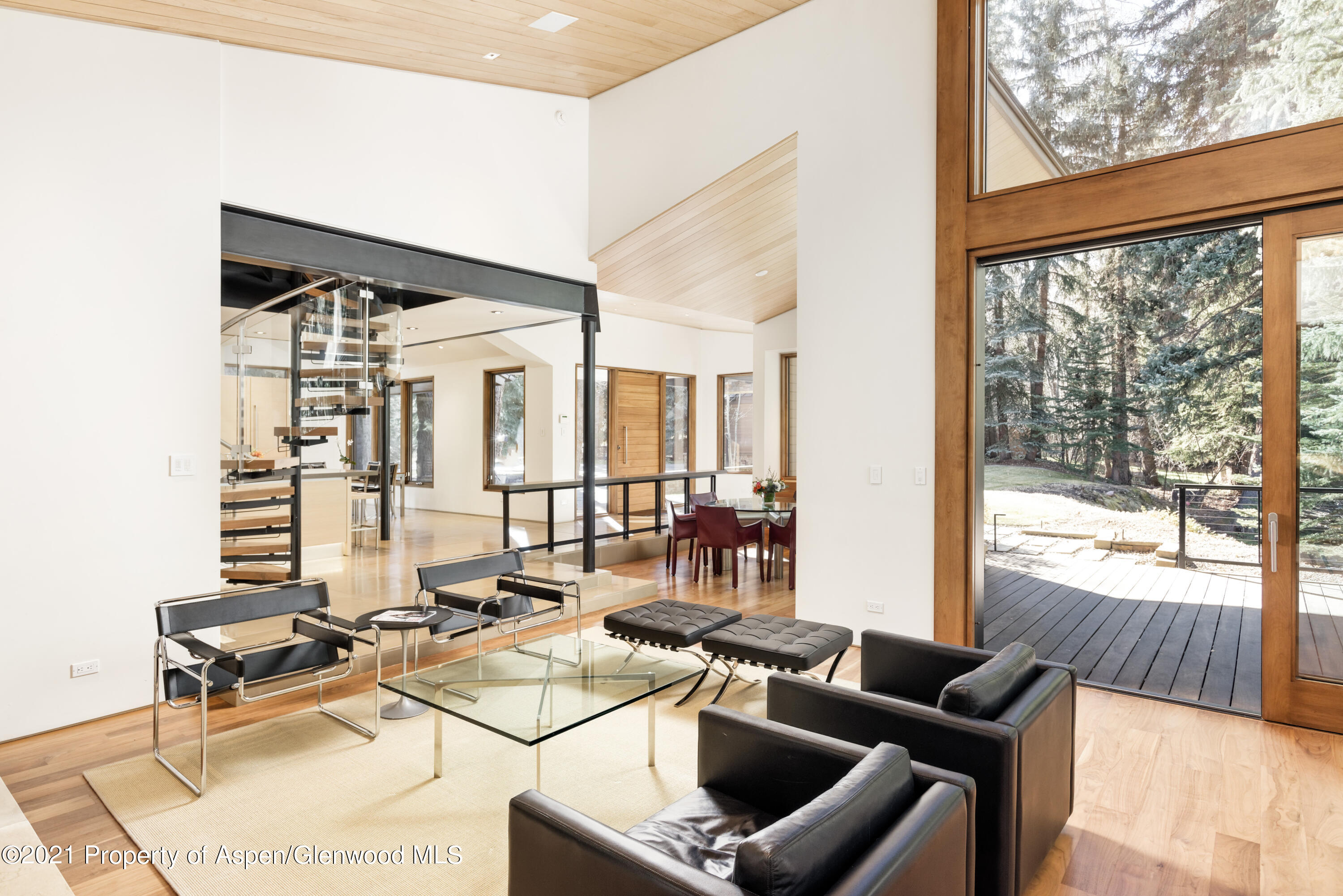 575 Sneaky Lane Aspen CO 81611