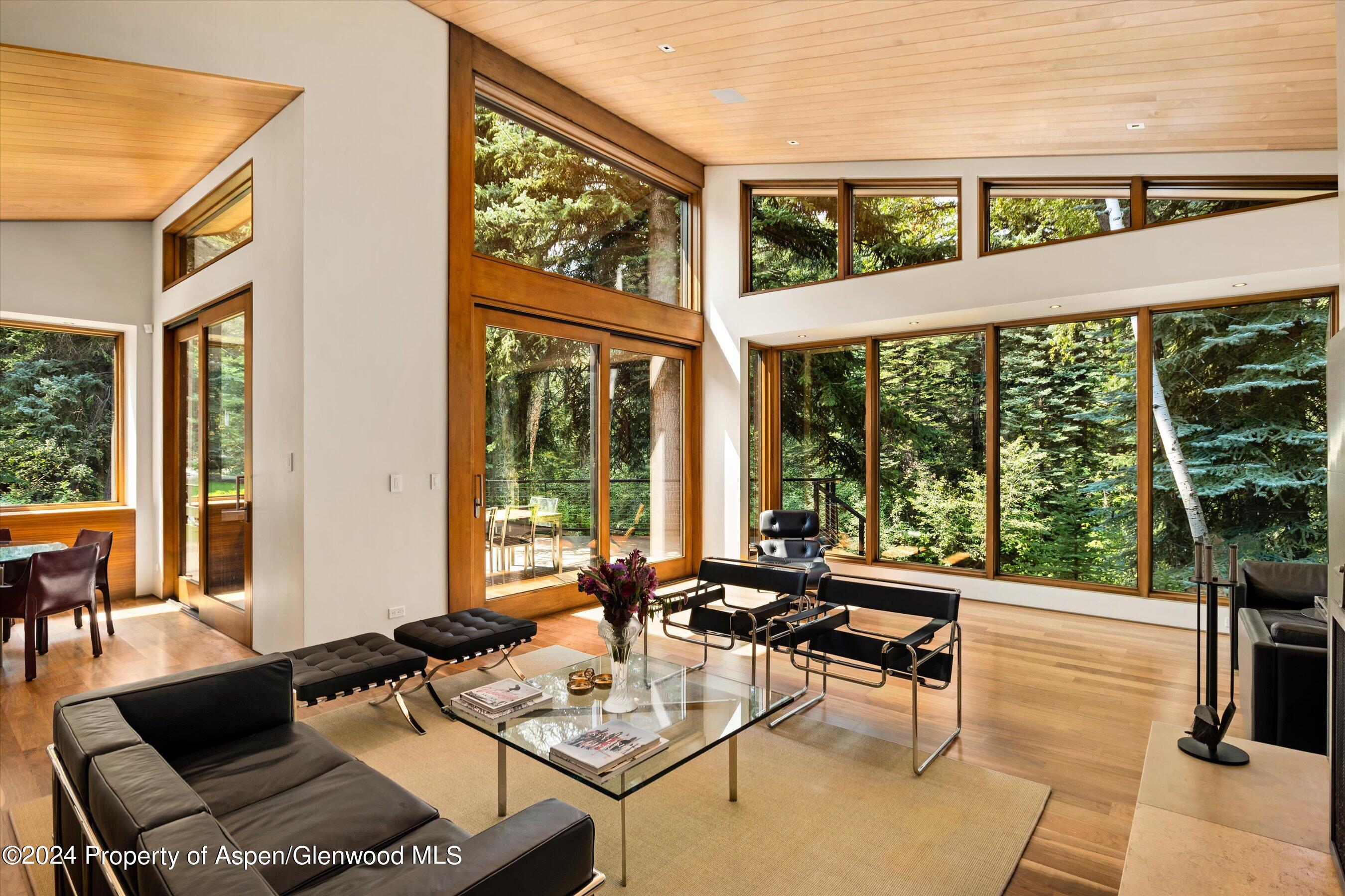 575 Sneaky Lane Aspen CO 81611