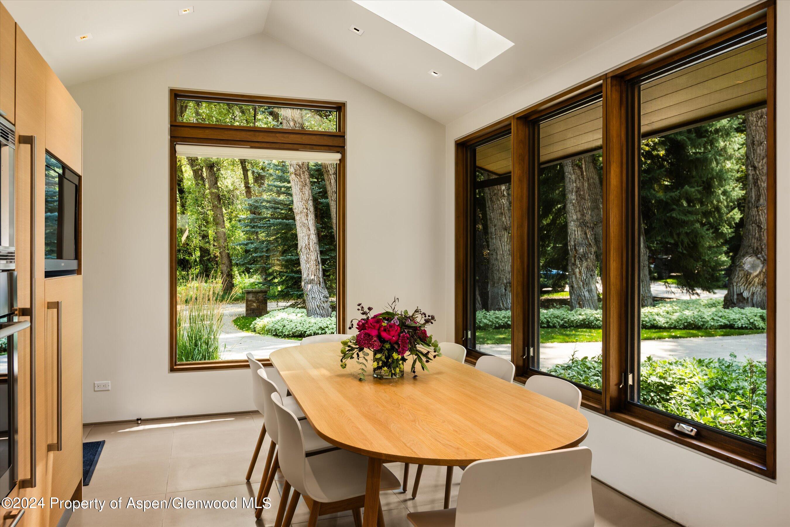 575 Sneaky Lane Aspen CO 81611