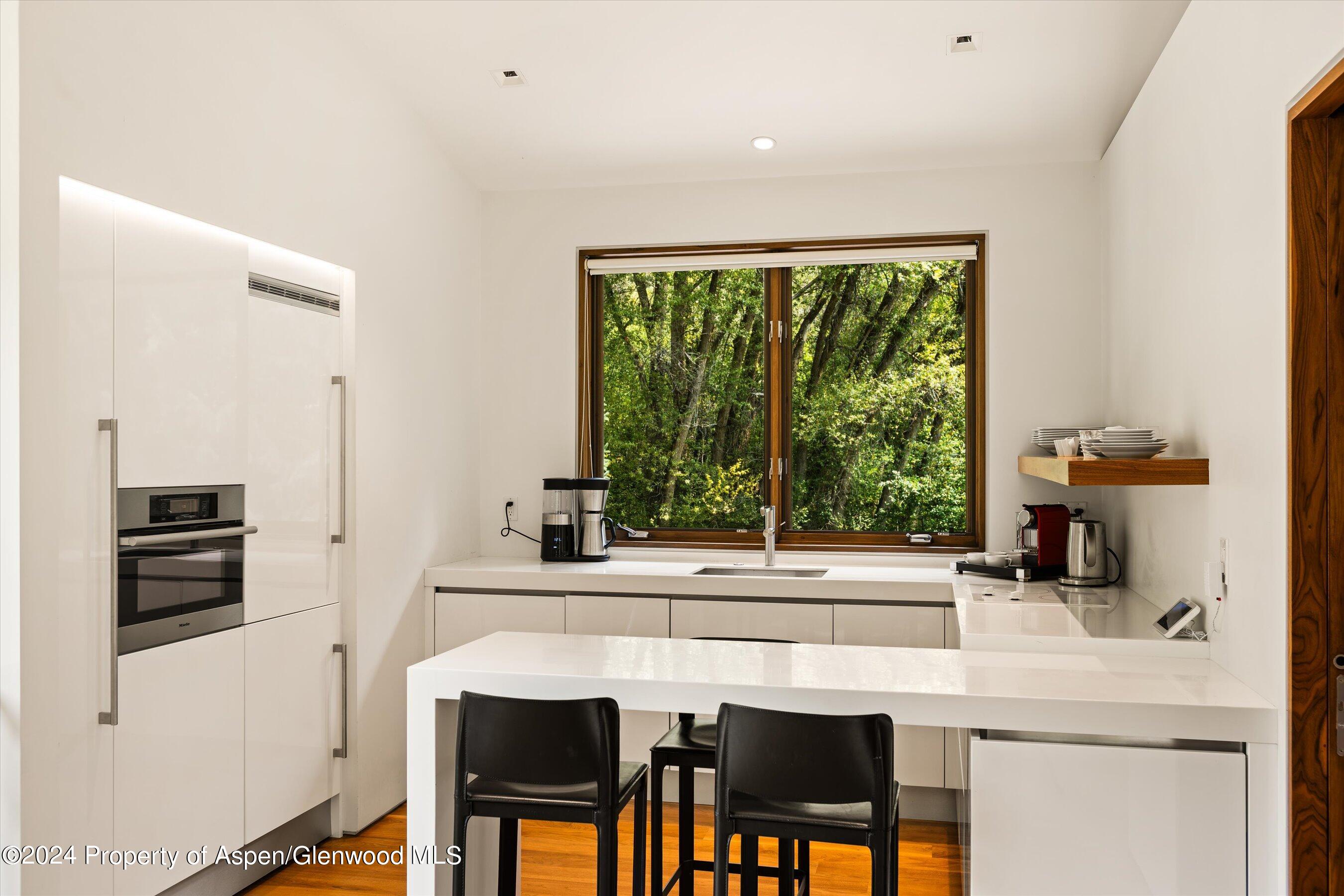 575 Sneaky Lane Aspen CO 81611