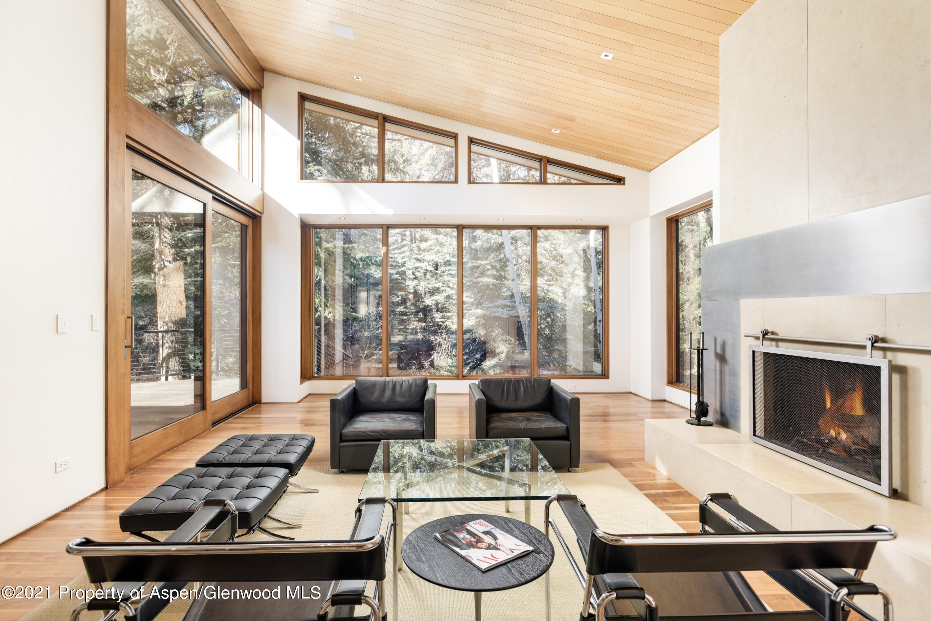 575 Sneaky Lane Aspen CO 81611