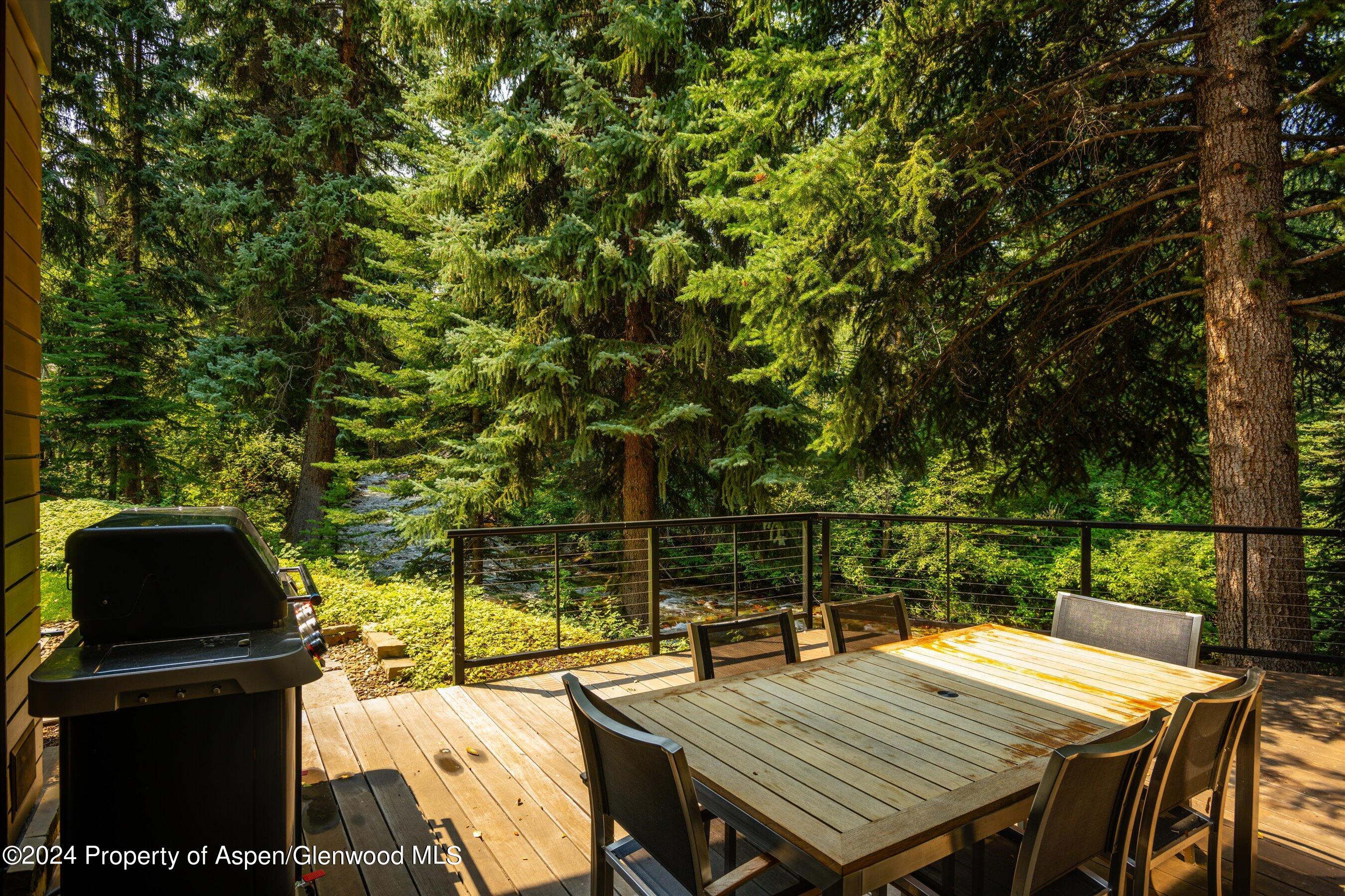 575 Sneaky Lane Aspen CO 81611