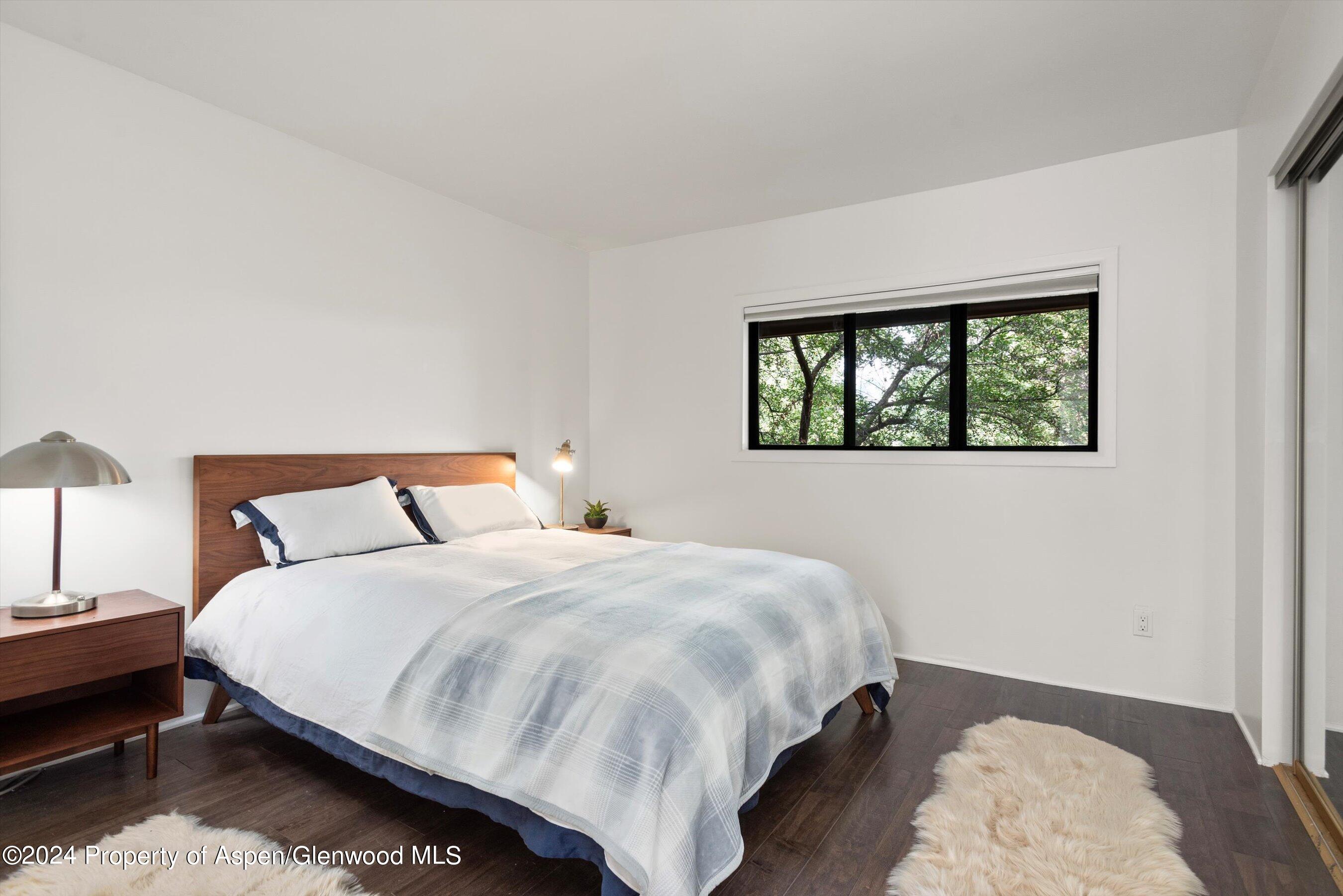 1326 Vine Street Aspen CO 81611