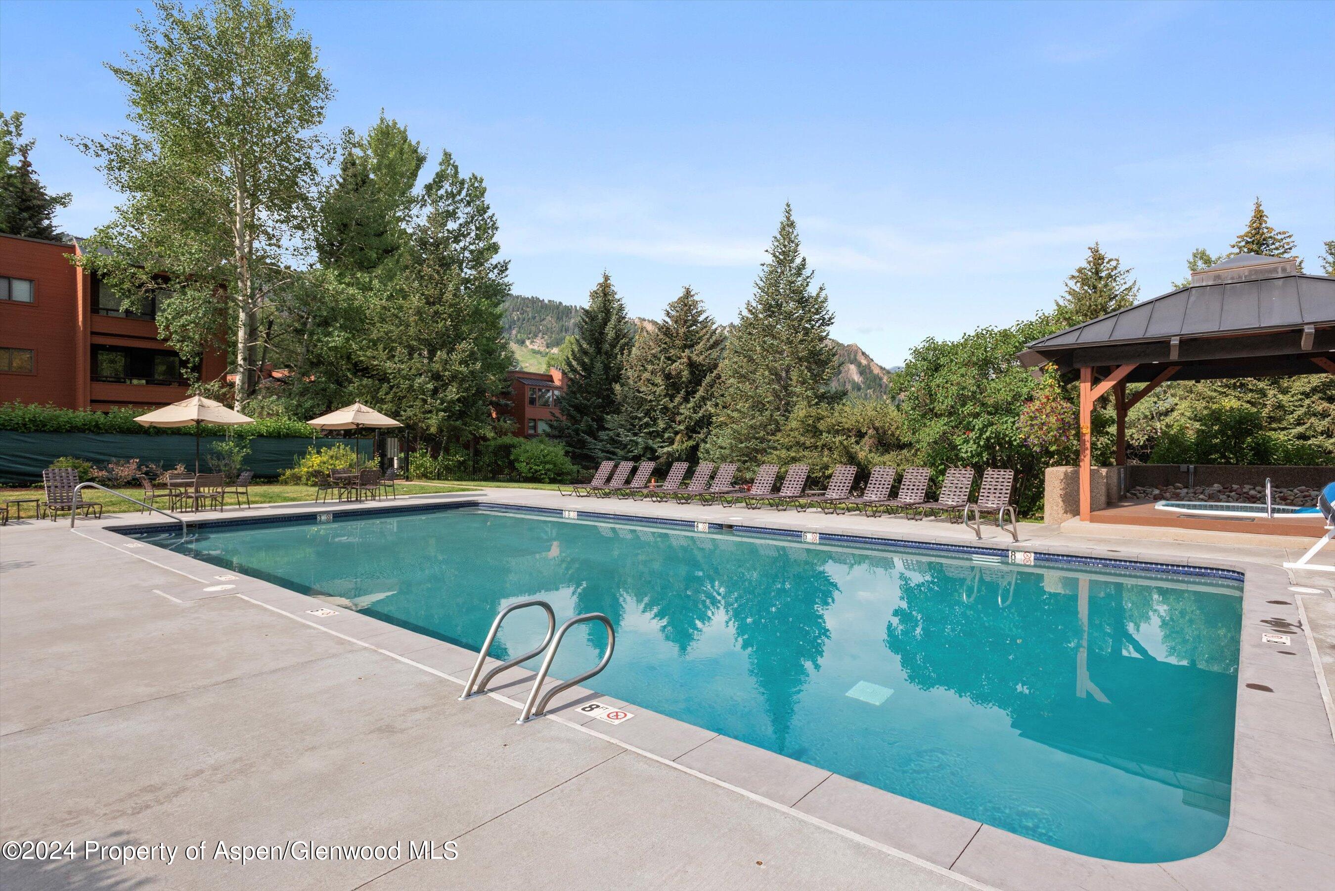 1326 Vine Street Aspen CO 81611