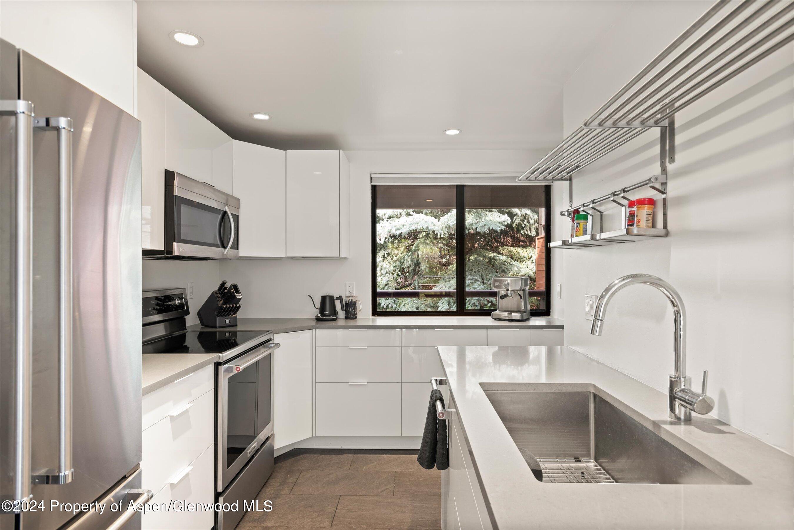 1326 Vine Street Aspen CO 81611