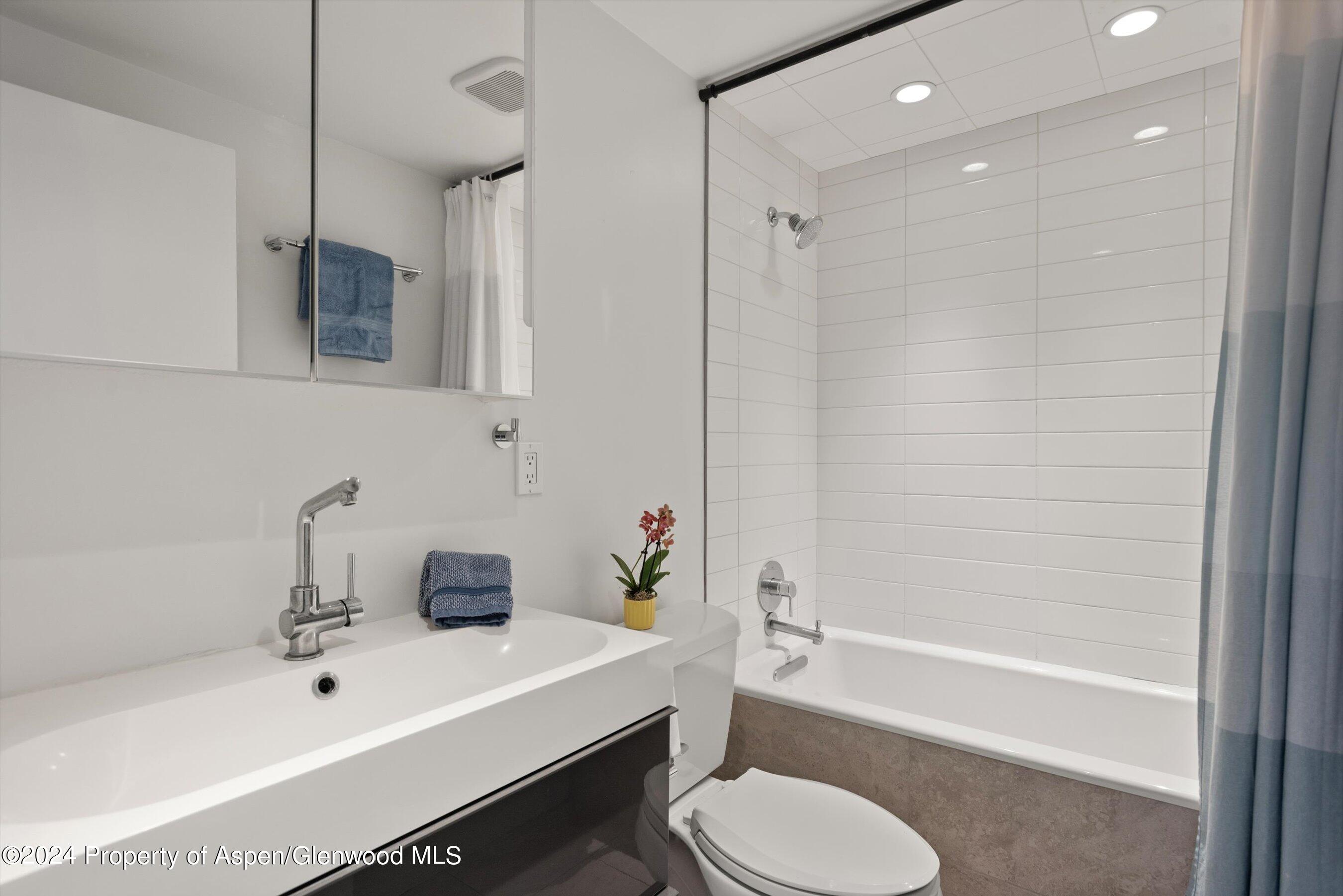 1326 Vine Street Aspen CO 81611