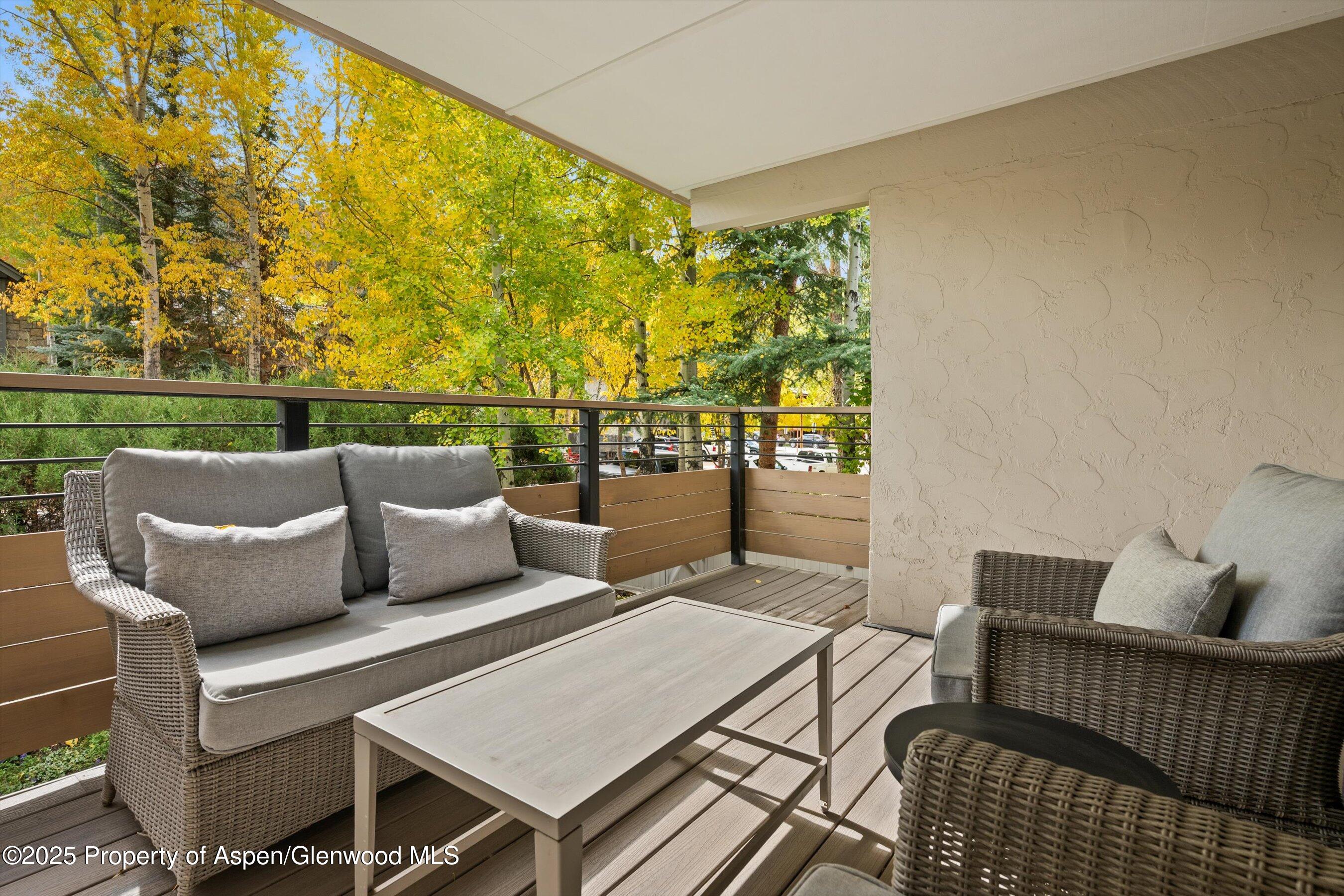 980 E Hyman Avenue Aspen CO 81611