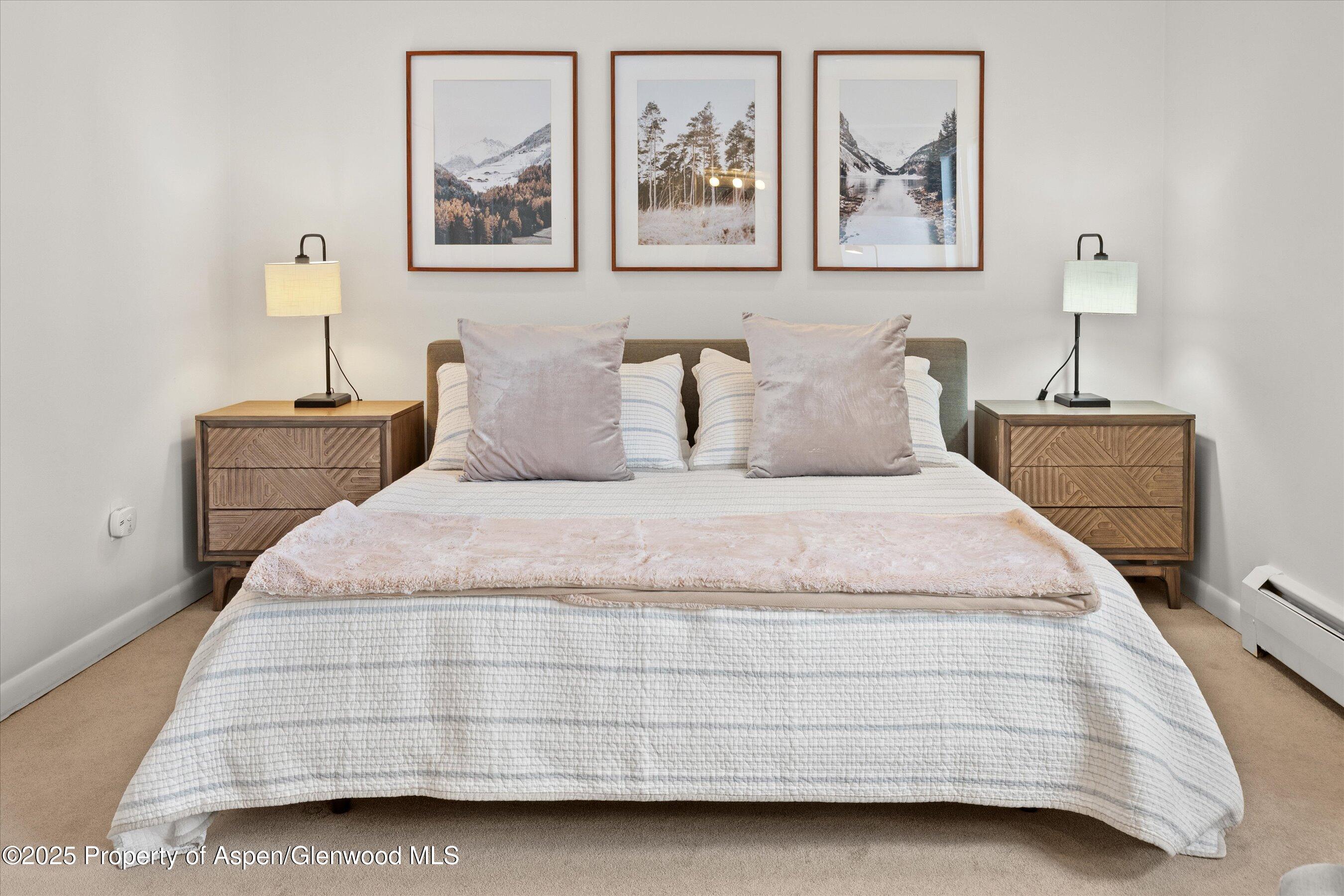 980 E Hyman Avenue Aspen CO 81611