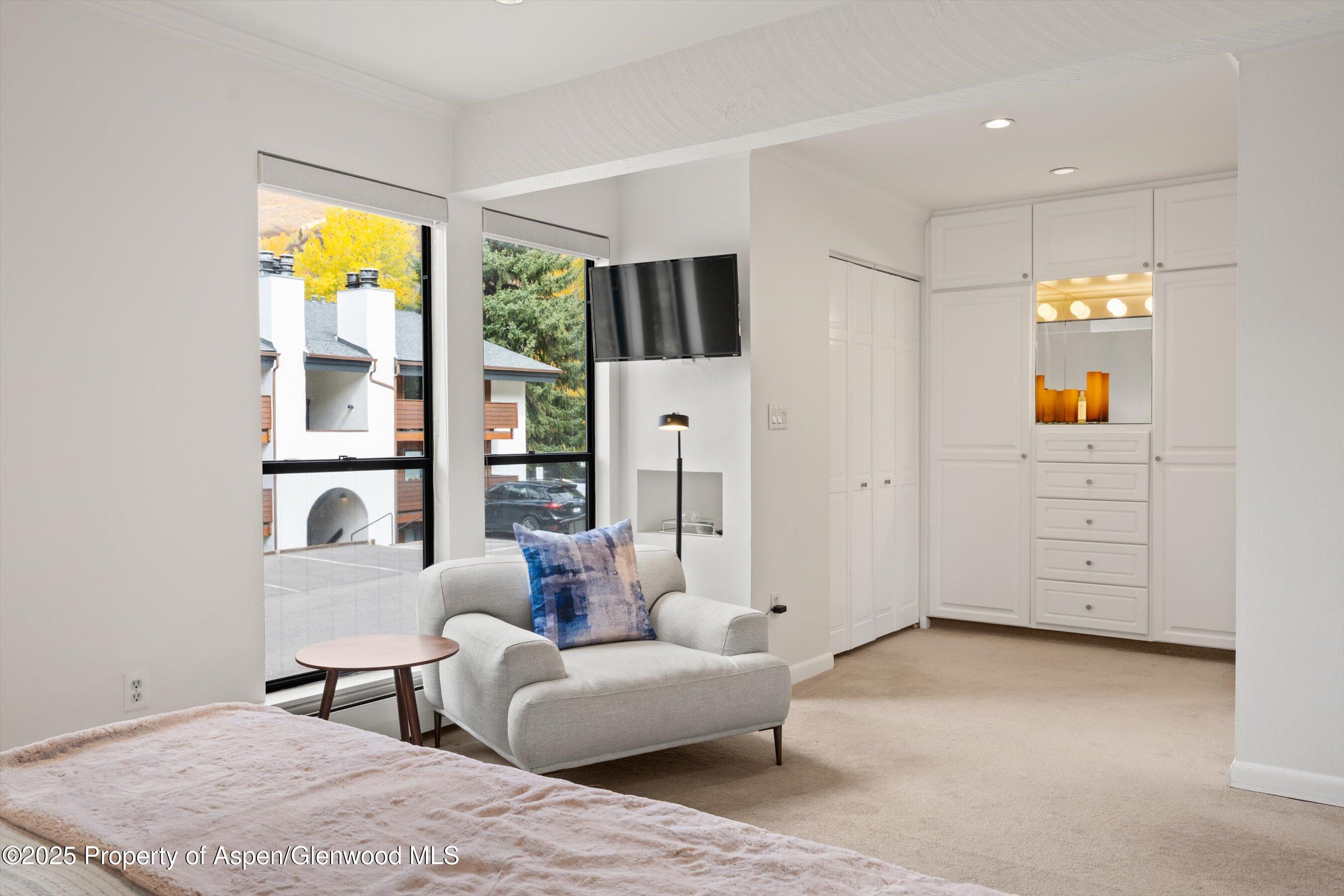 980 E Hyman Avenue Aspen CO 81611