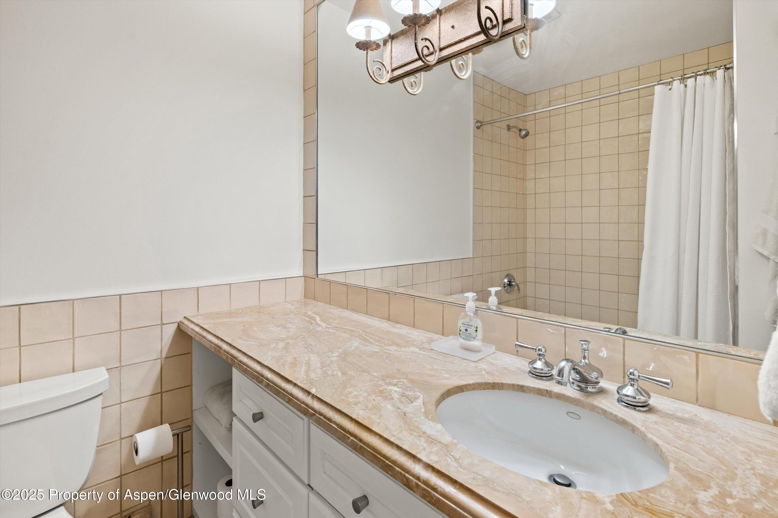 980 E Hyman Avenue Aspen CO 81611