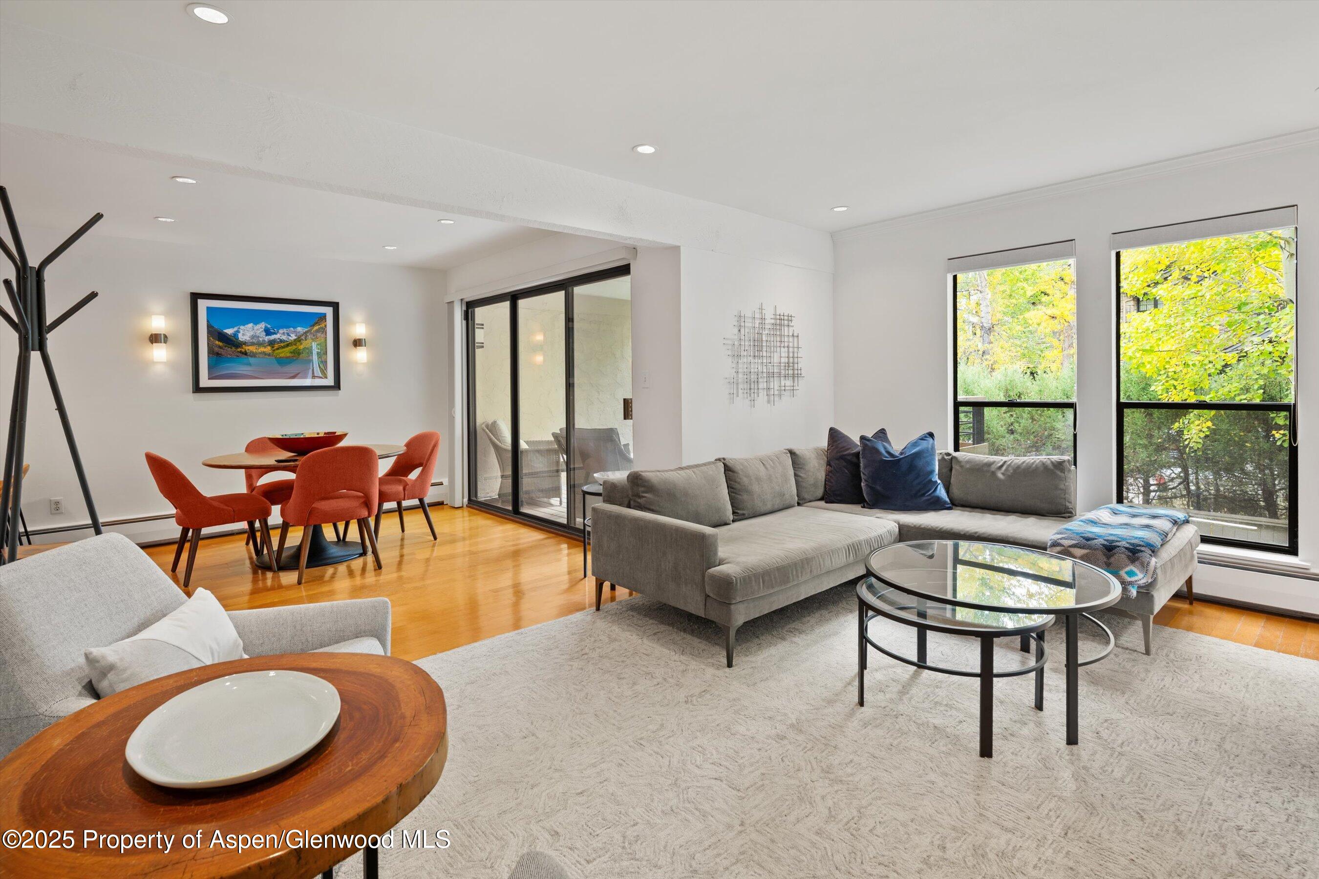 980 E Hyman Avenue Aspen CO 81611