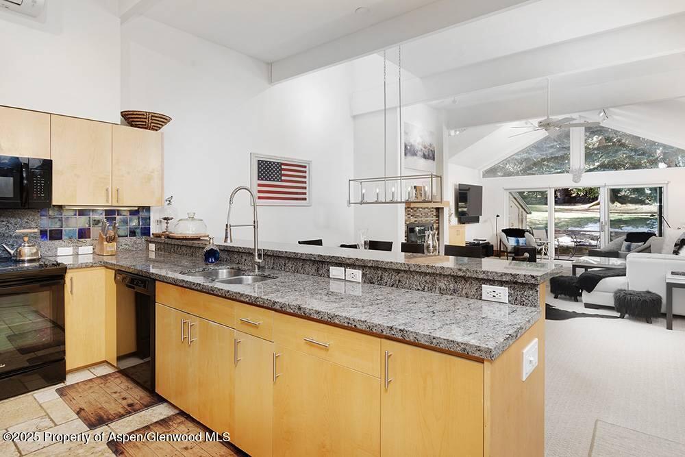 625 S West End Street Aspen CO 81611