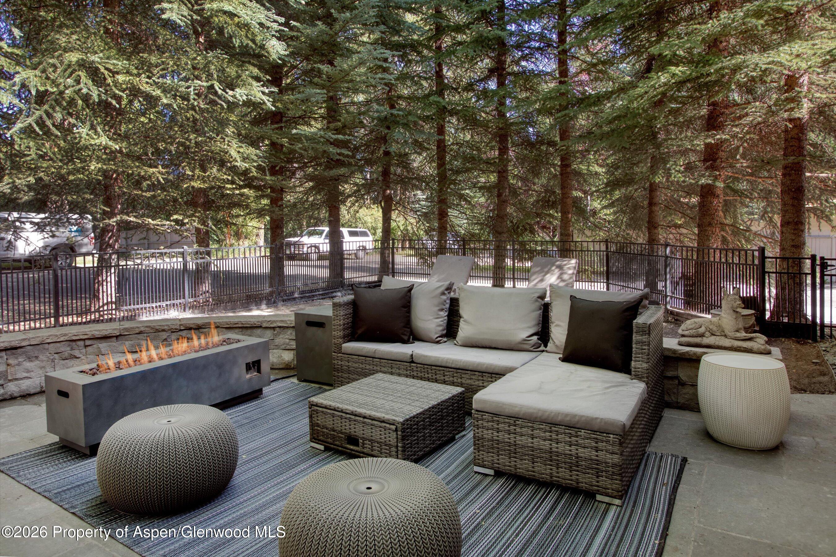 736 W Smuggler Street Aspen CO 81611