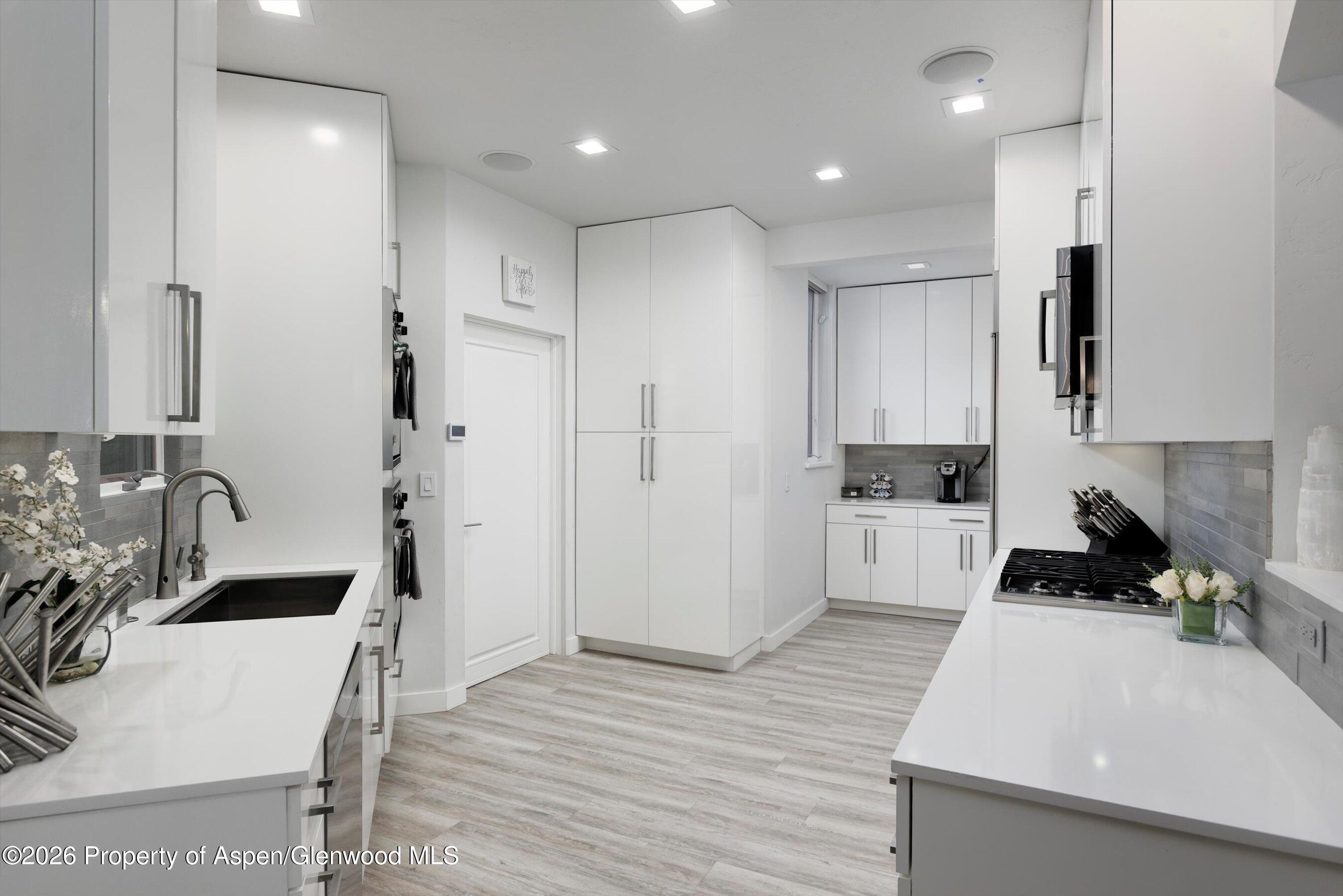 736 W Smuggler Street Aspen CO 81611