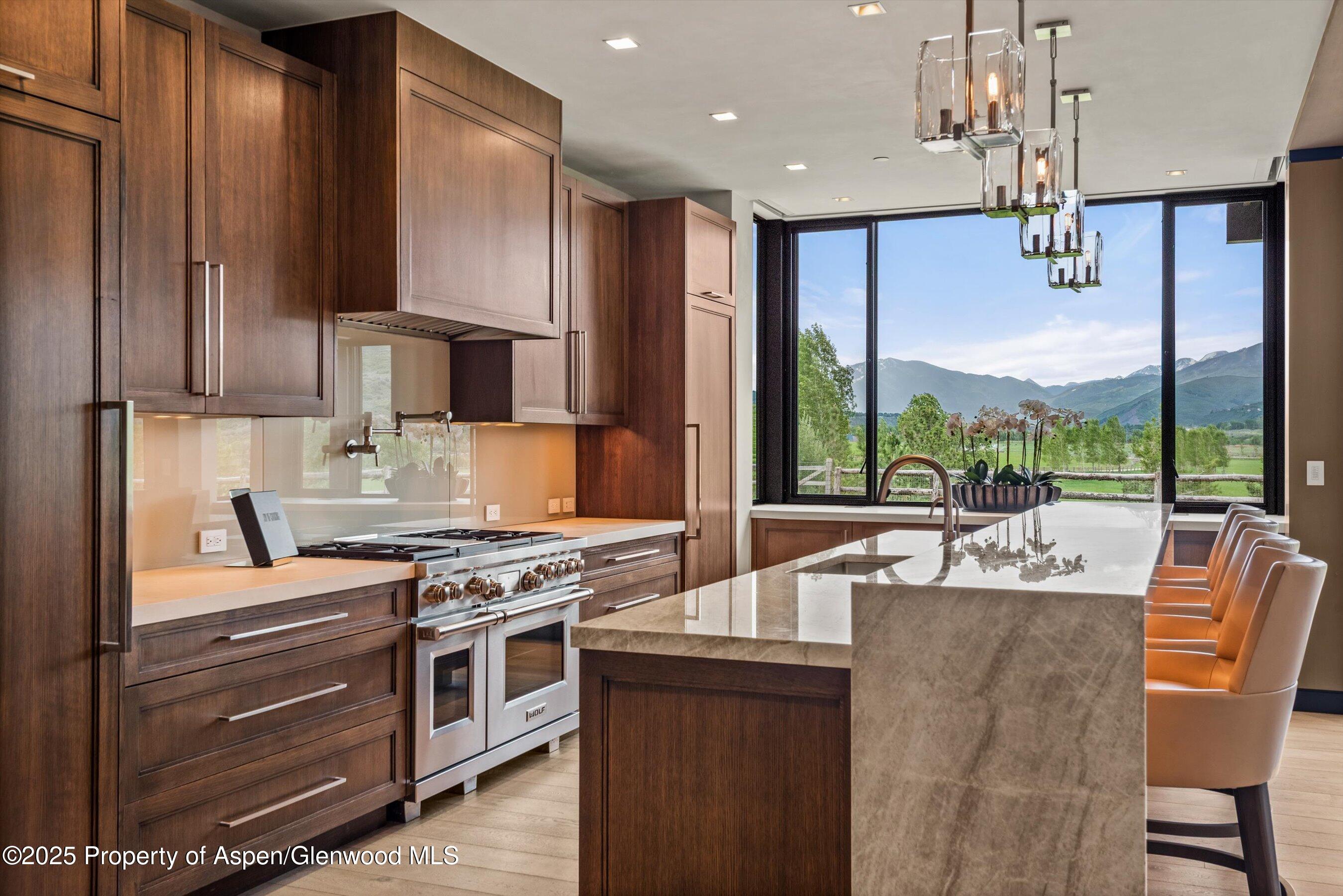 31 E Bourg Trail Woody Creek CO 81656