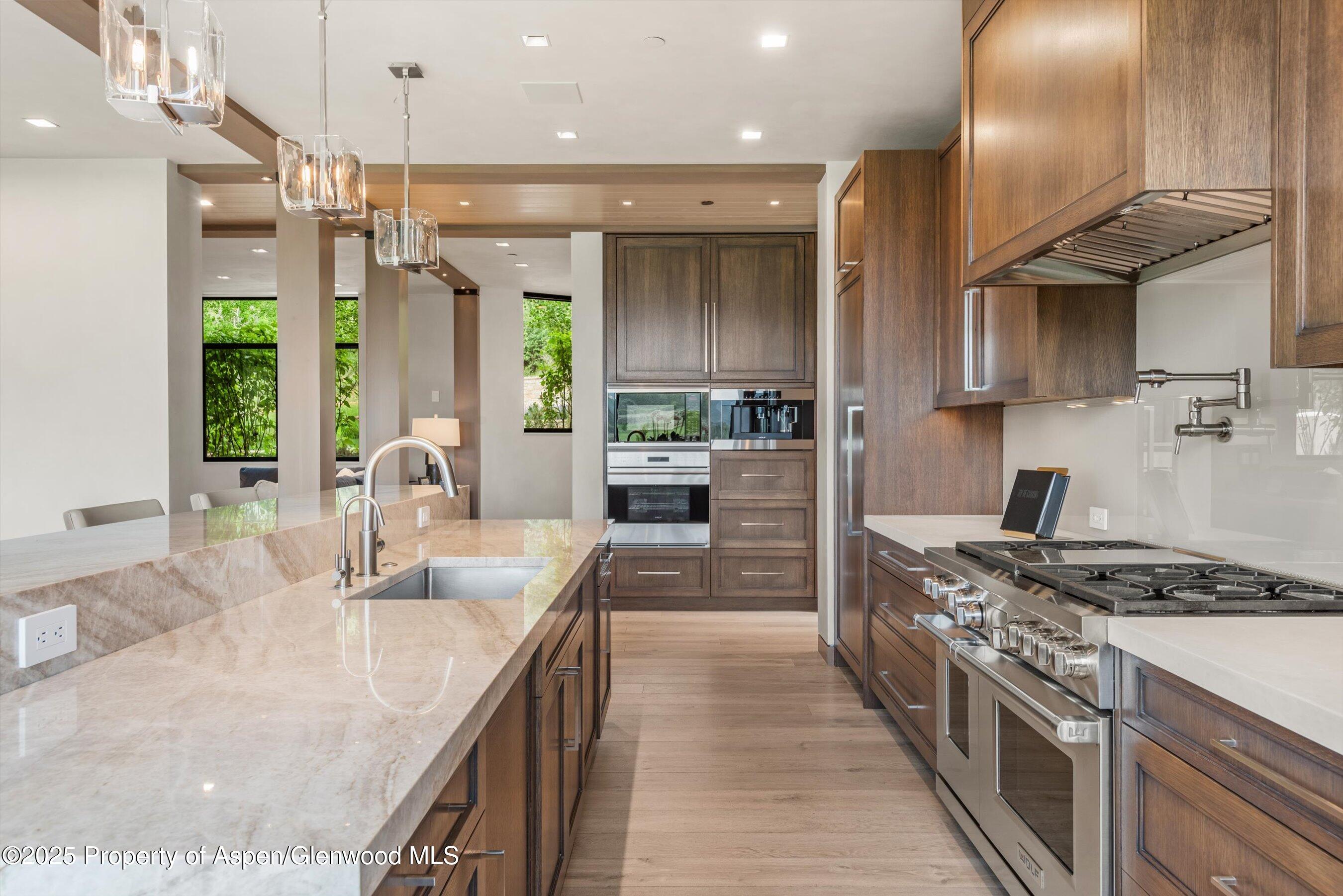 31 E Bourg Trail Woody Creek CO 81656