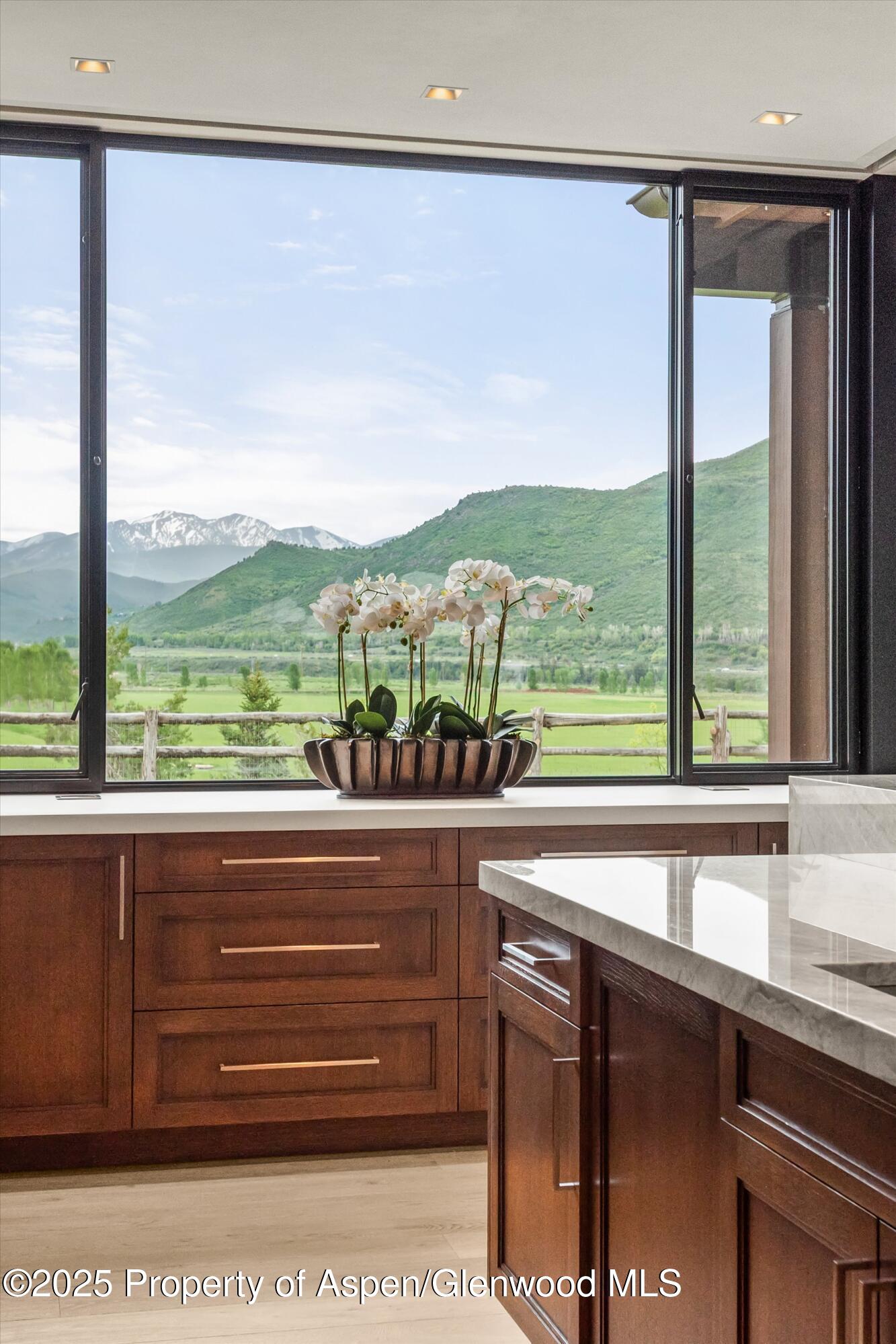 31 E Bourg Trail Woody Creek CO 81656