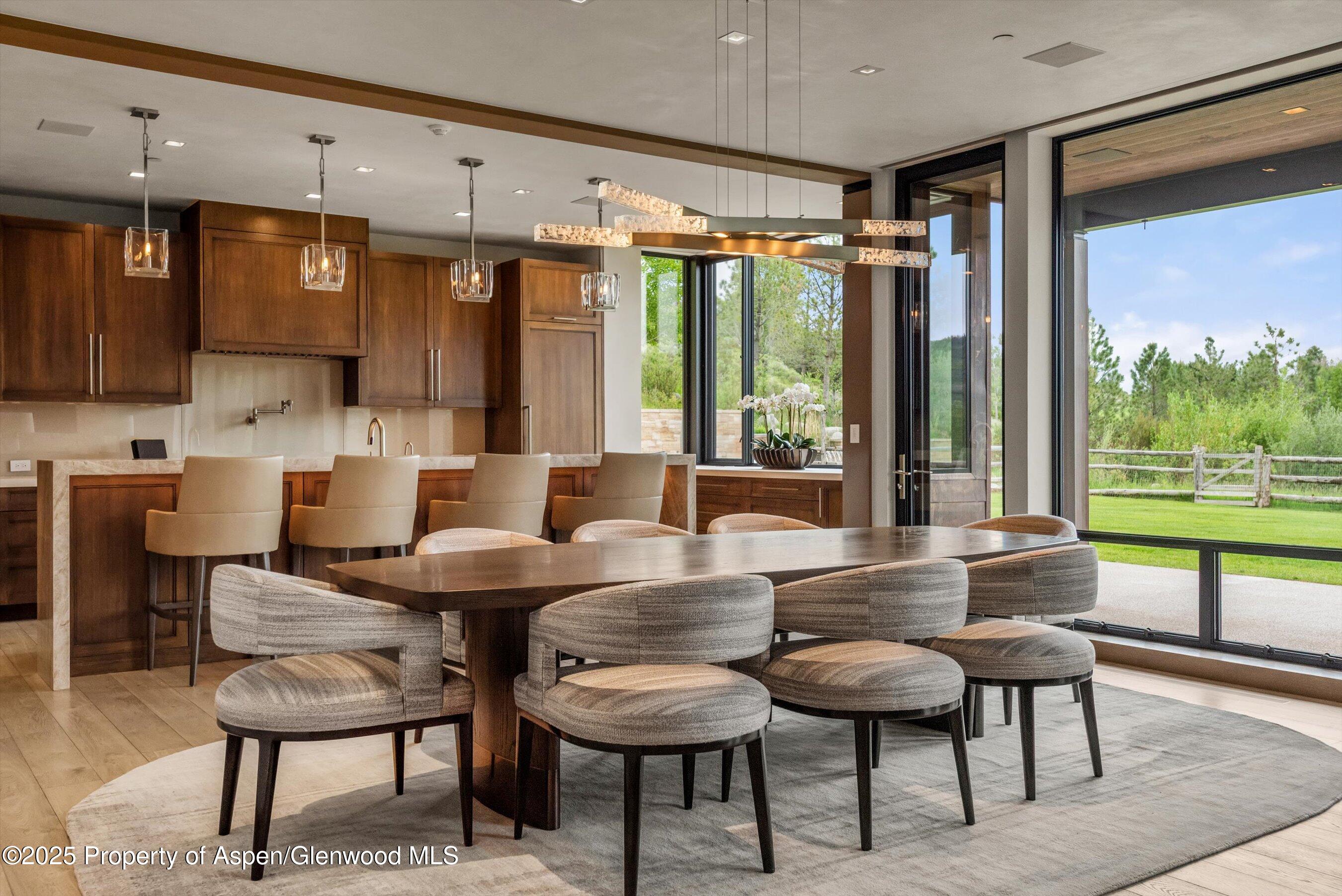 31 E Bourg Trail Woody Creek CO 81656