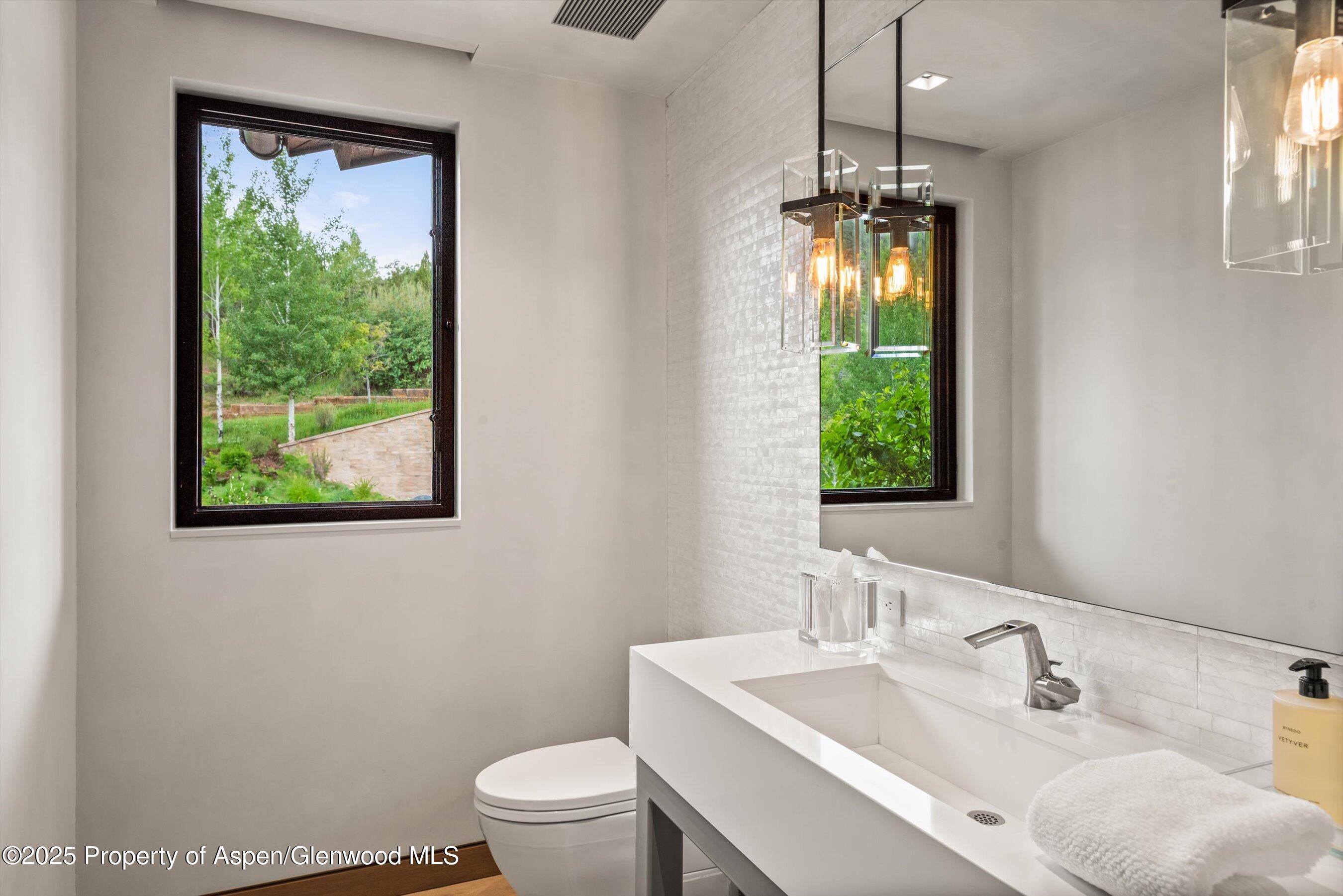 31 E Bourg Trail Woody Creek CO 81656
