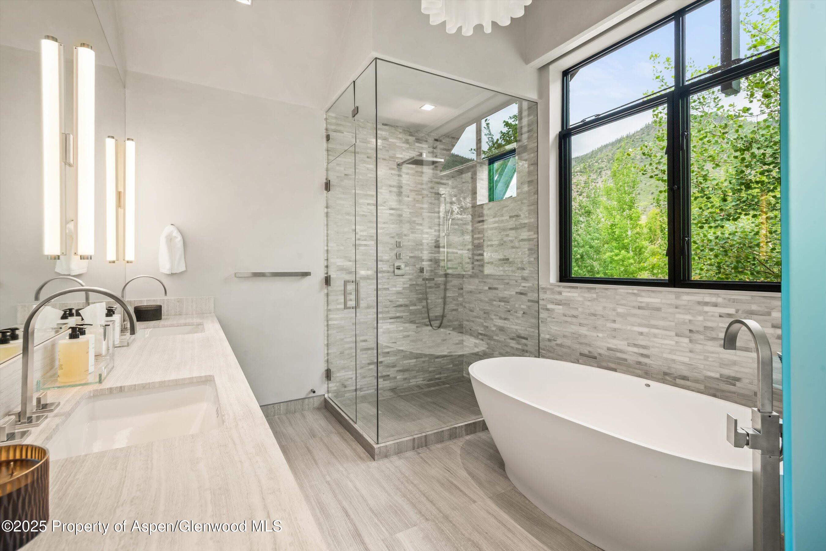 31 E Bourg Trail Woody Creek CO 81656