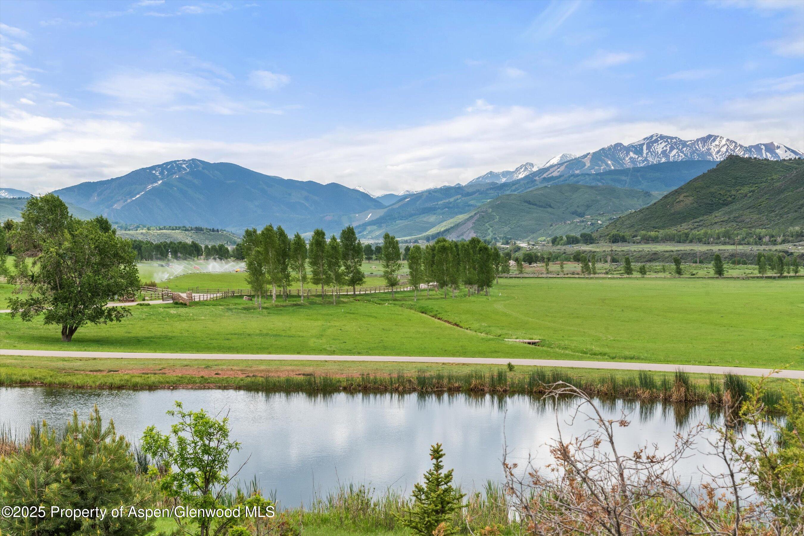 31 E Bourg Trail Woody Creek CO 81656