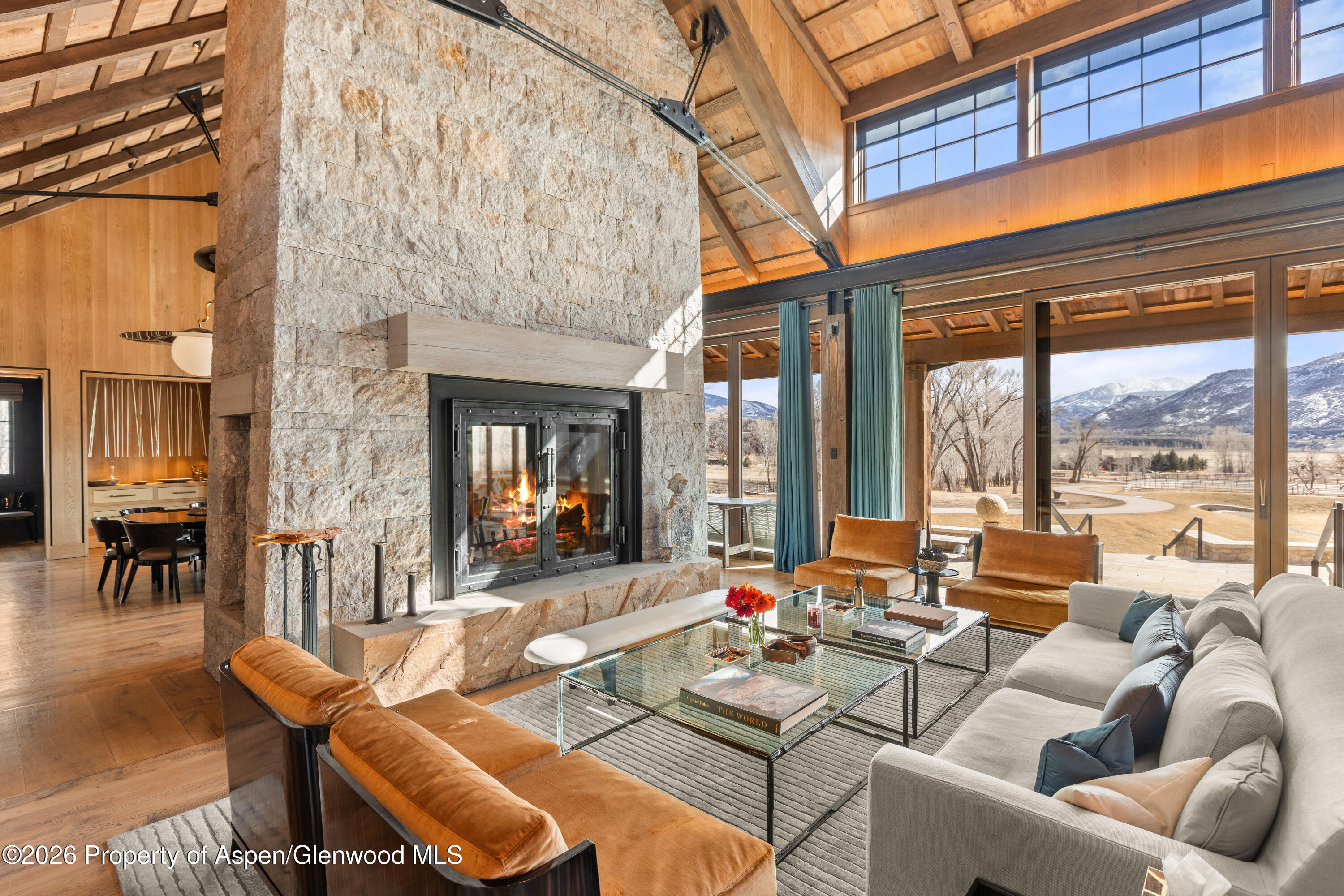 31 E Bourg Trail Woody Creek CO 81656