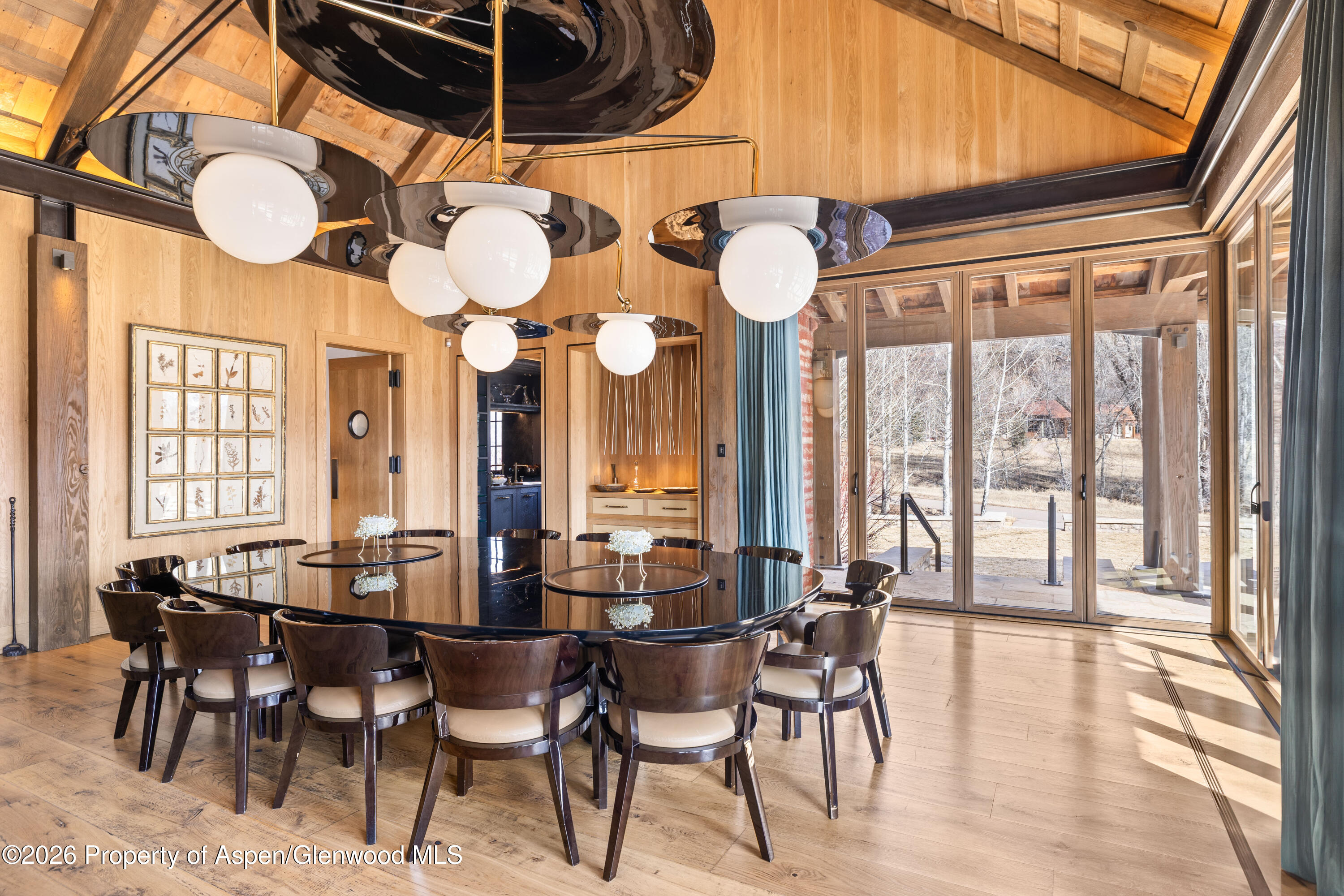 31 E Bourg Trail Woody Creek CO 81656