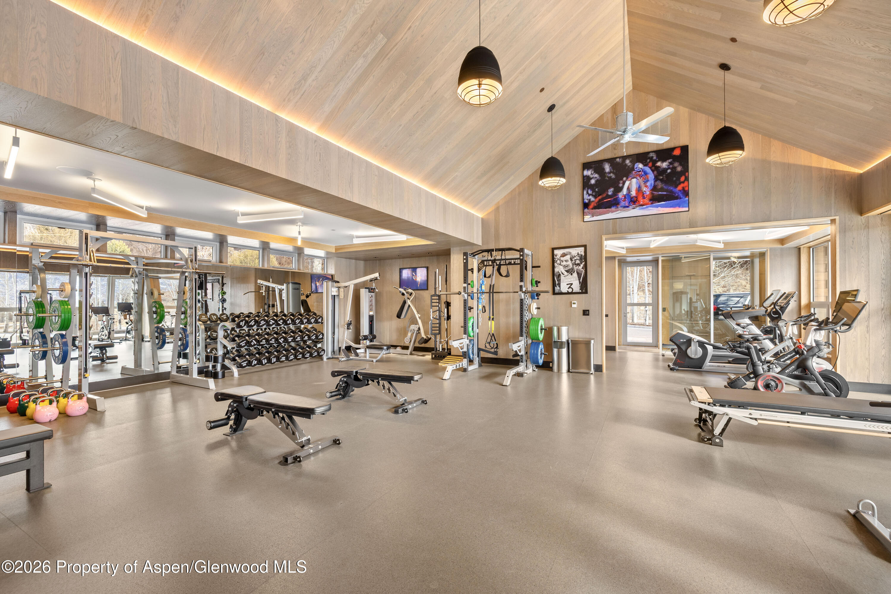 31 E Bourg Trail Woody Creek CO 81656