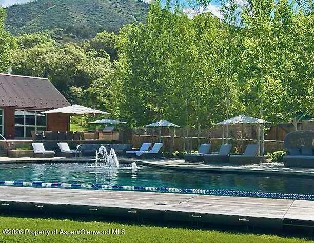 31 E Bourg Trail Woody Creek CO 81656