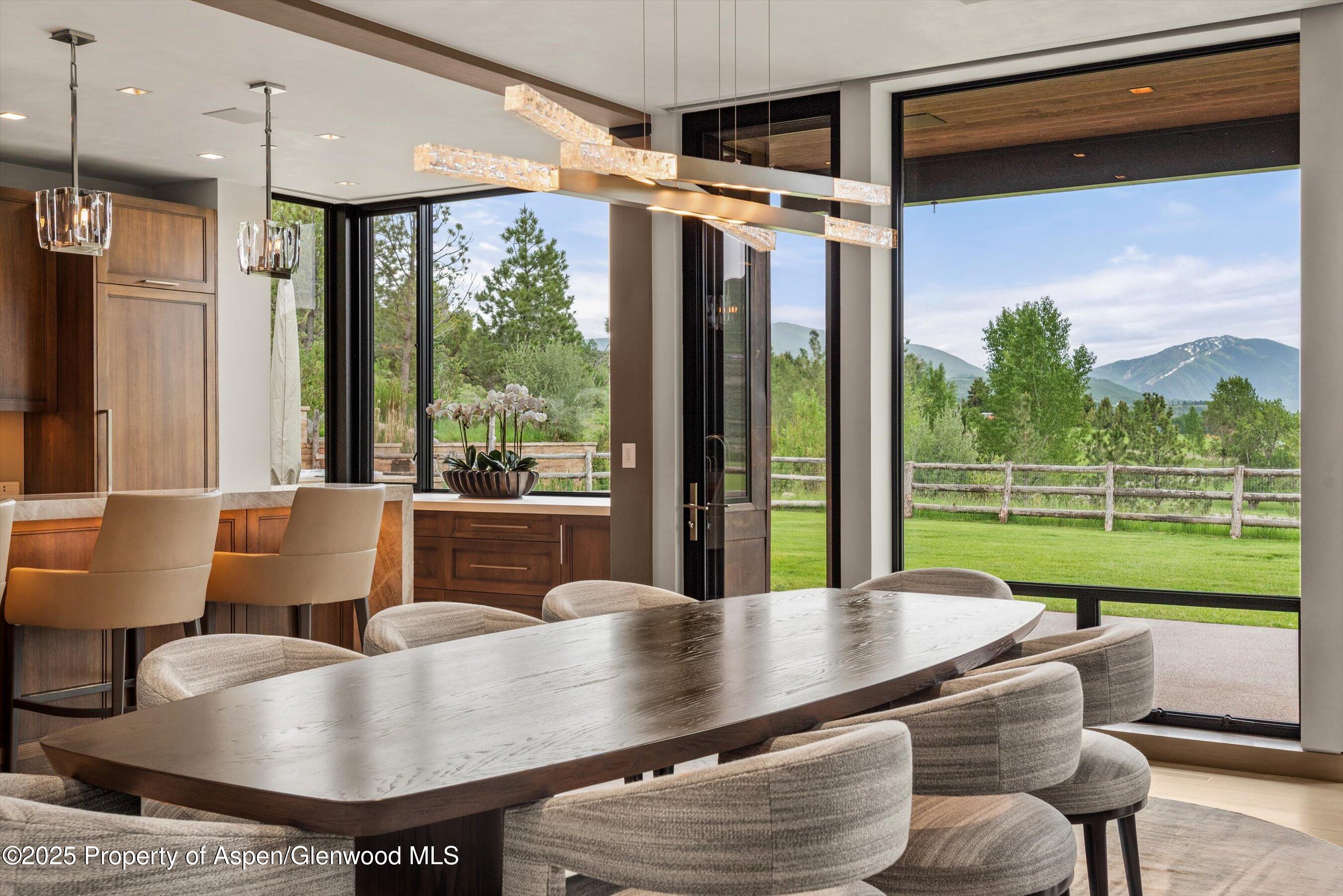 31 E Bourg Trail Woody Creek CO 81656