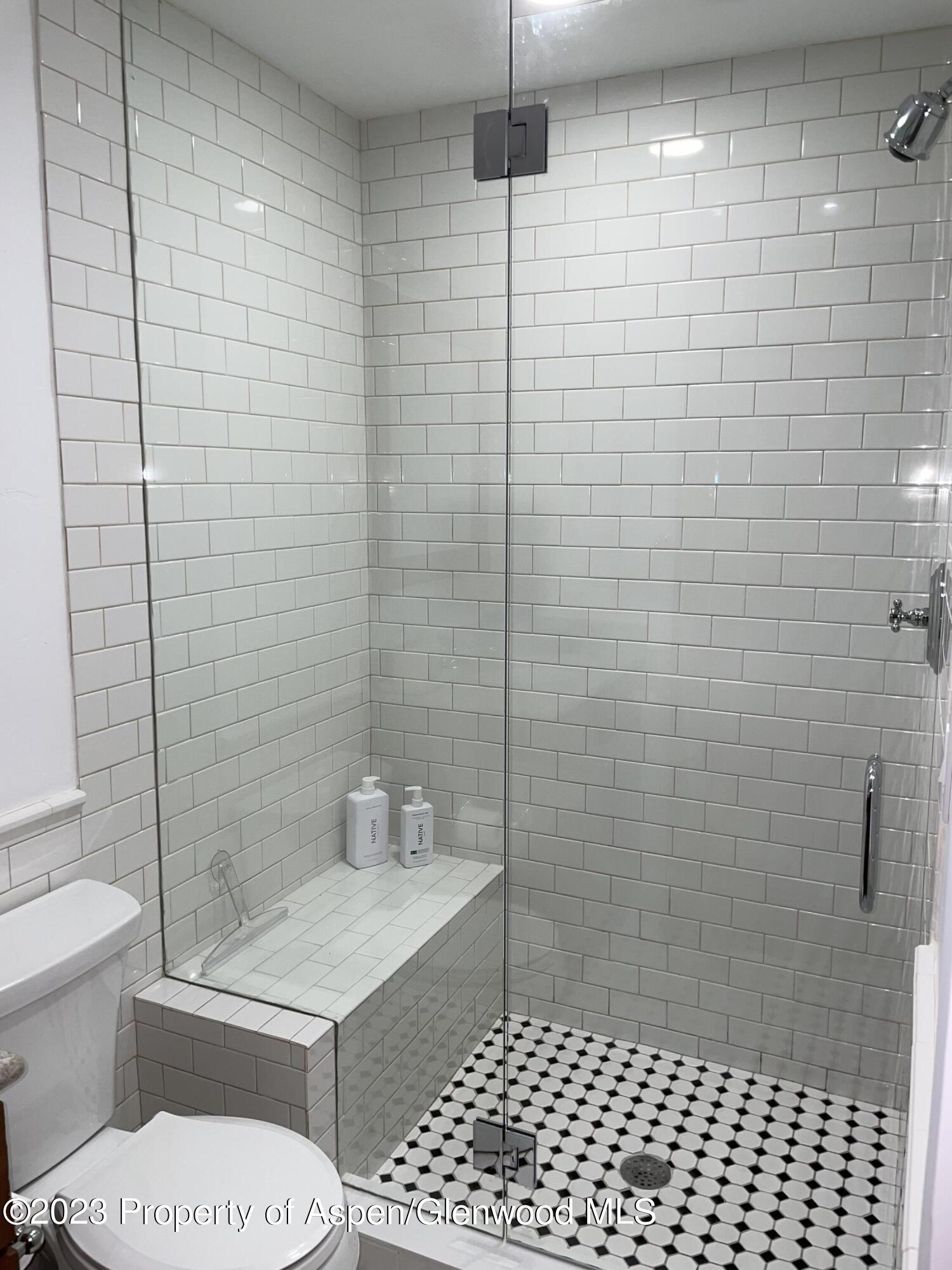 519 W Main Street Aspen CO 81611