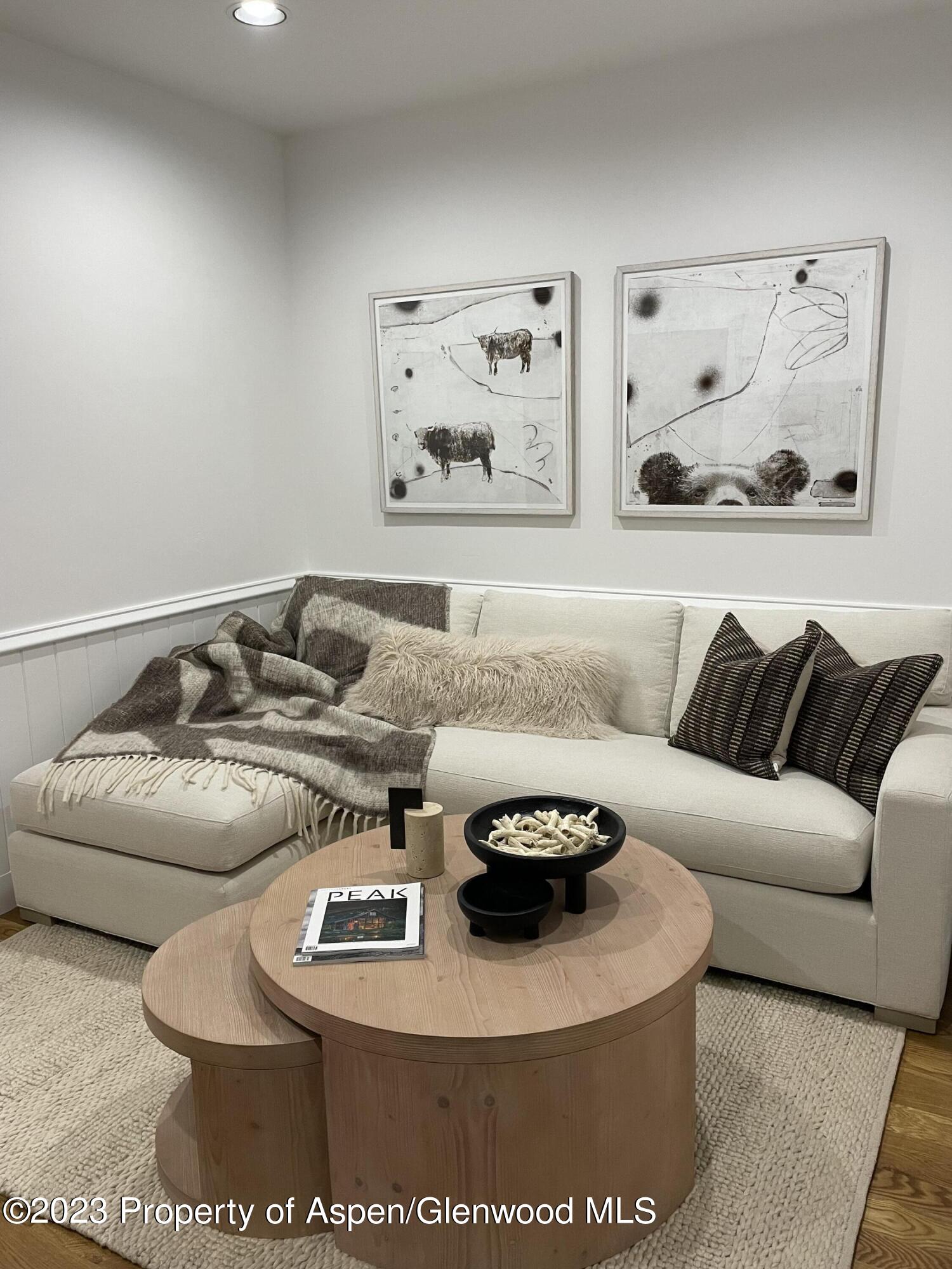 519 W Main Street Aspen CO 81611