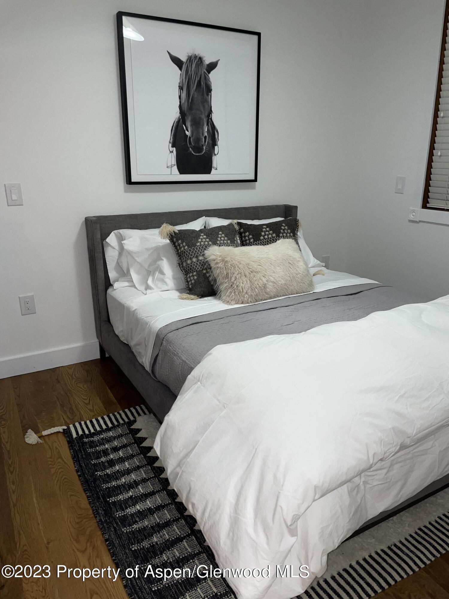 519 W Main Street Aspen CO 81611