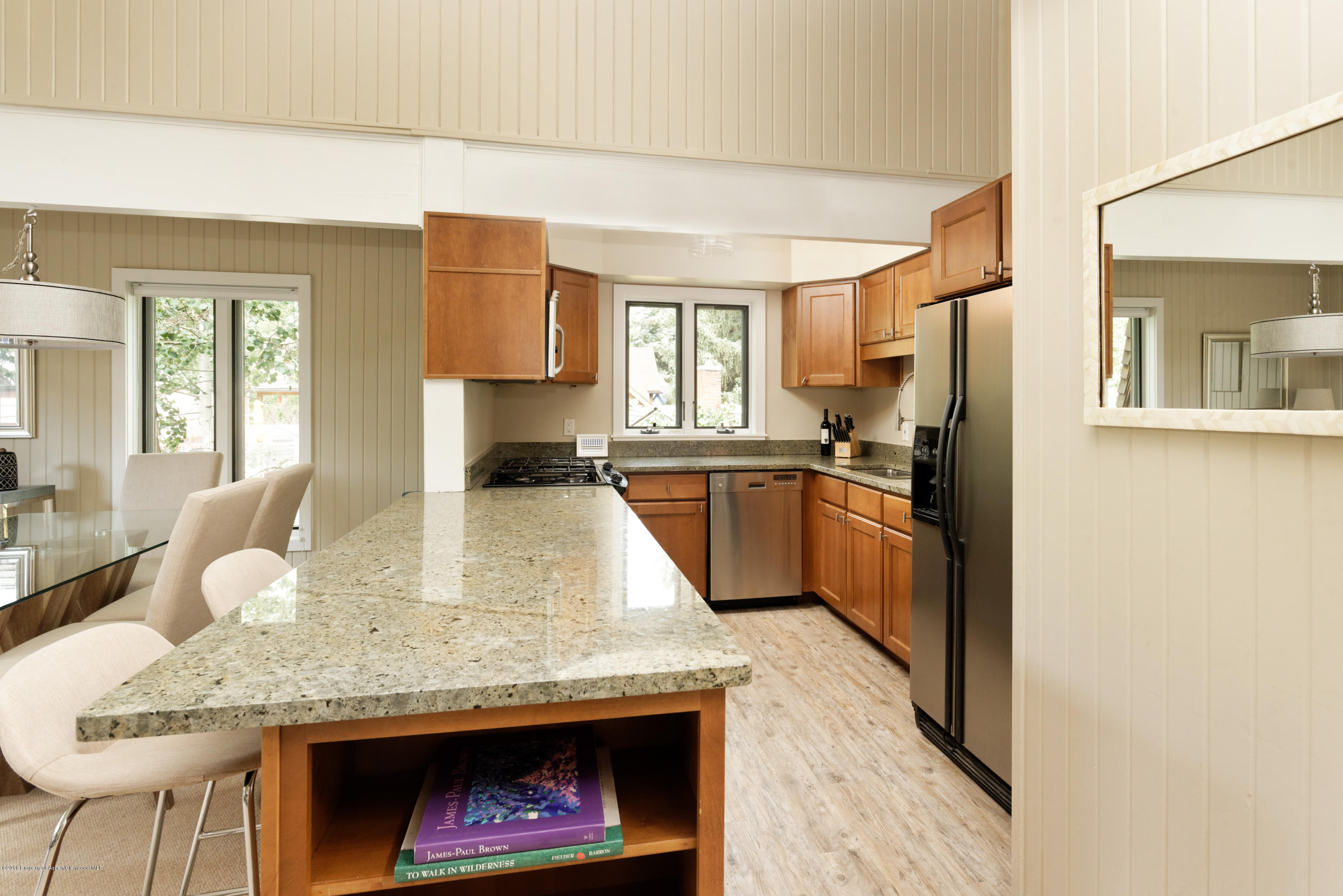 117 N Monarch Street Aspen CO 81611