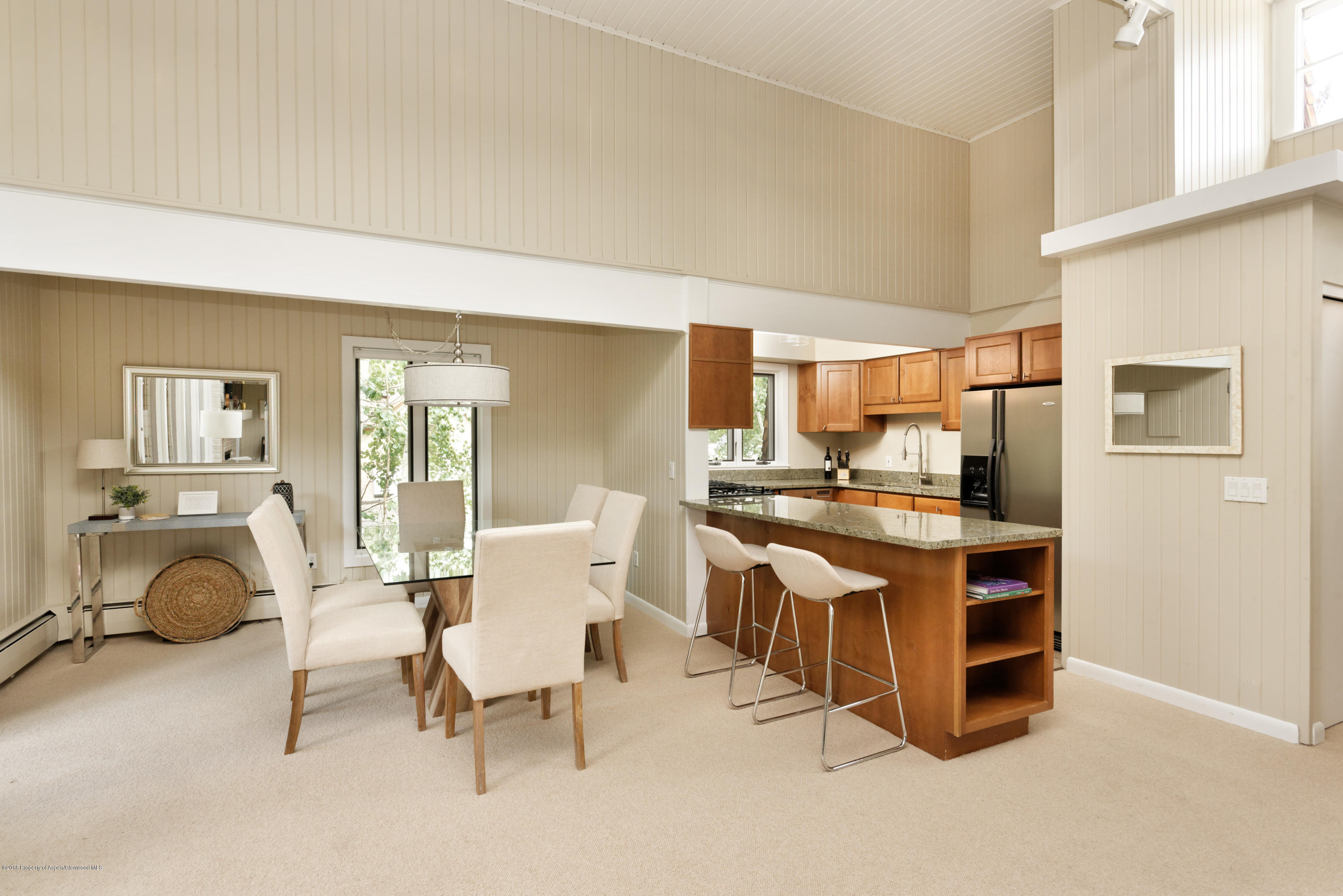 117 N Monarch Street Aspen CO 81611