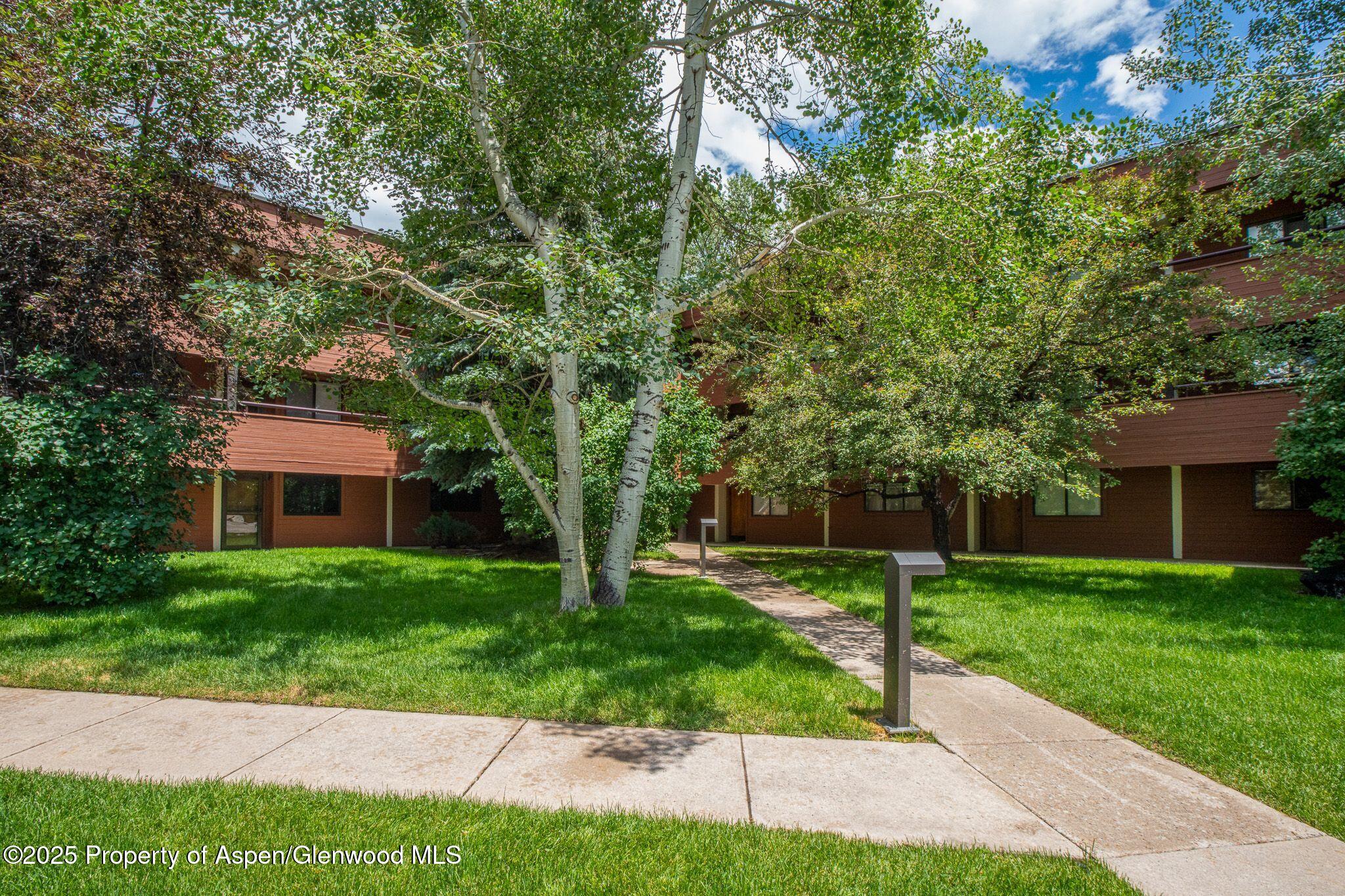 1328 Vine Aspen CO 81611