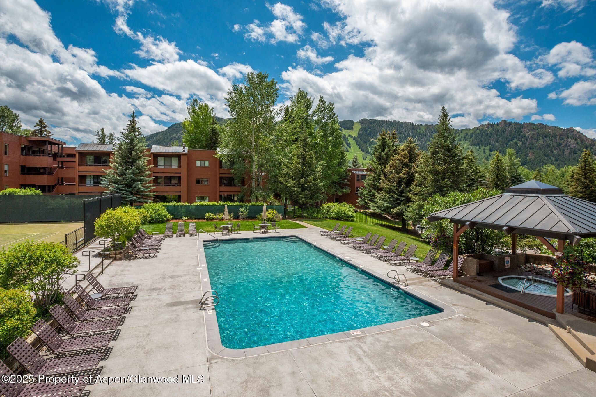 1328 Vine Aspen CO 81611