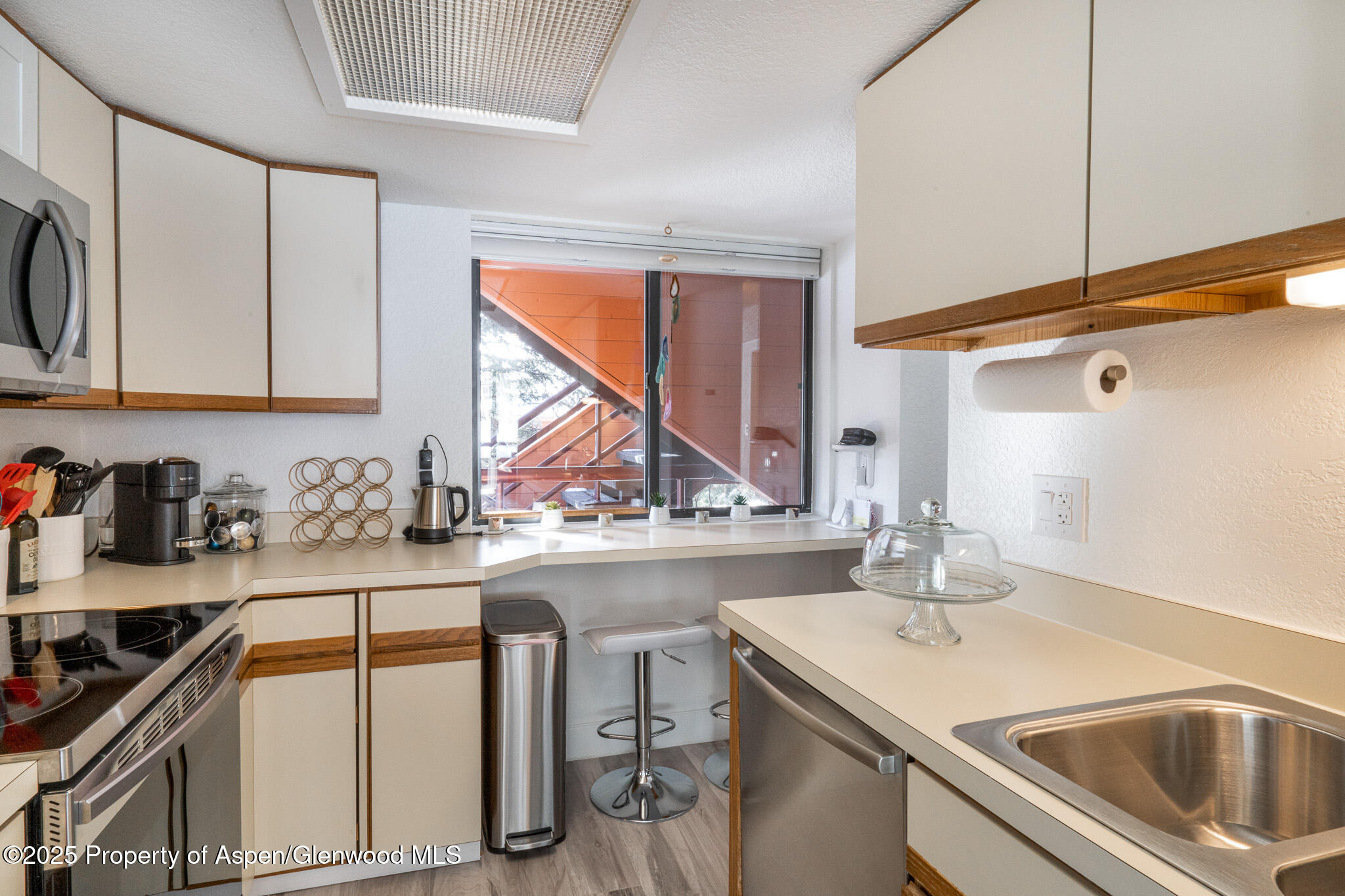 1328 Vine Aspen CO 81611