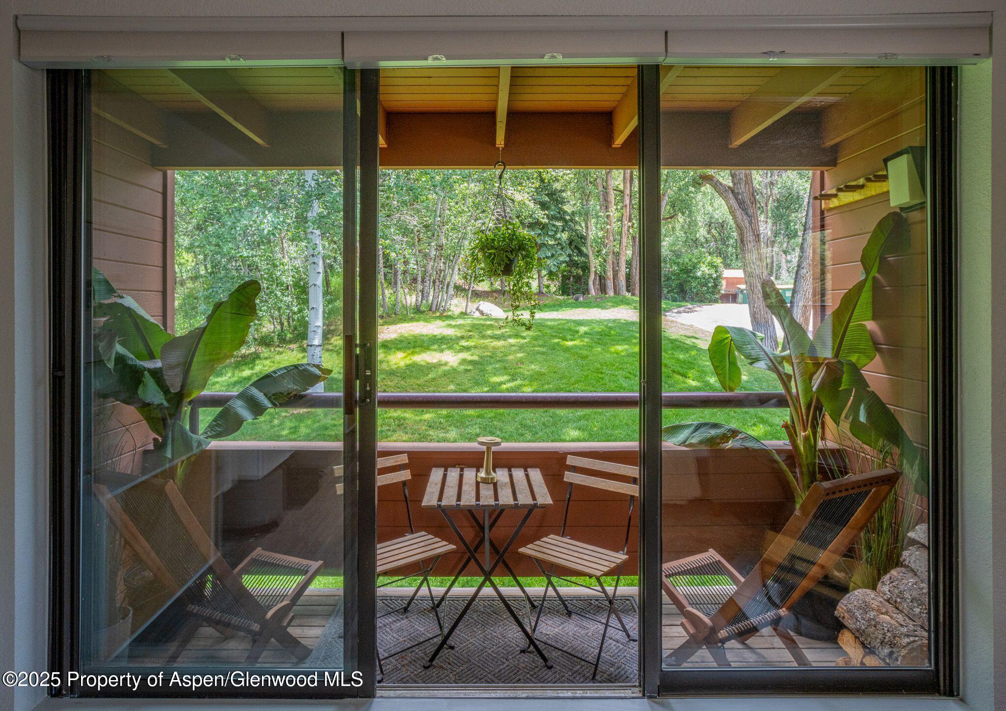 1328 Vine Aspen CO 81611